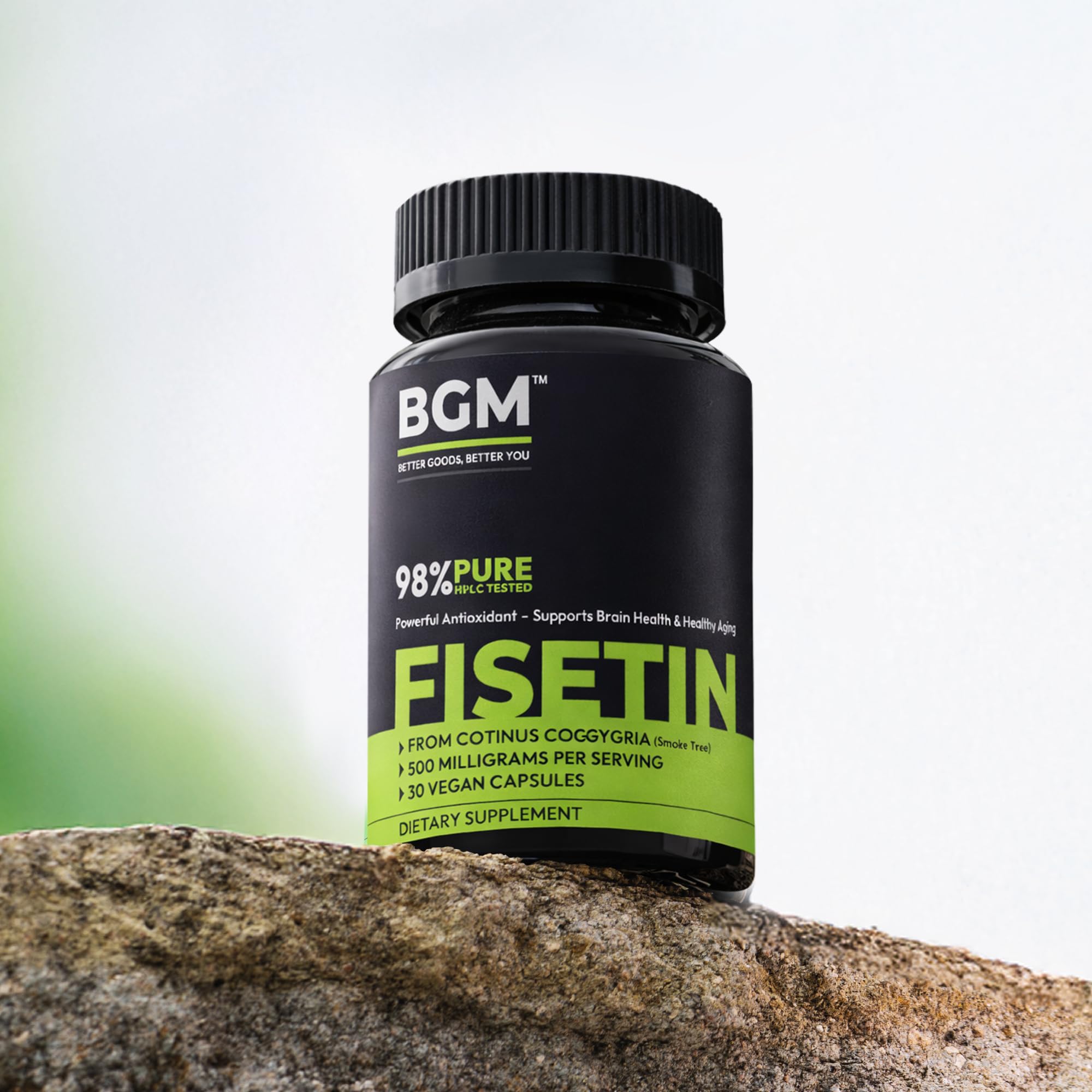 BGM Fisetin 500mg Supplement | Smoke Tree Extract (Cotinus coggygria) | 98% Pure Senolytic Antioxidant | Vegan Capsules | Supports Brain Health & Healthy Aging BGM Better Goods, Better You buy supplements canada