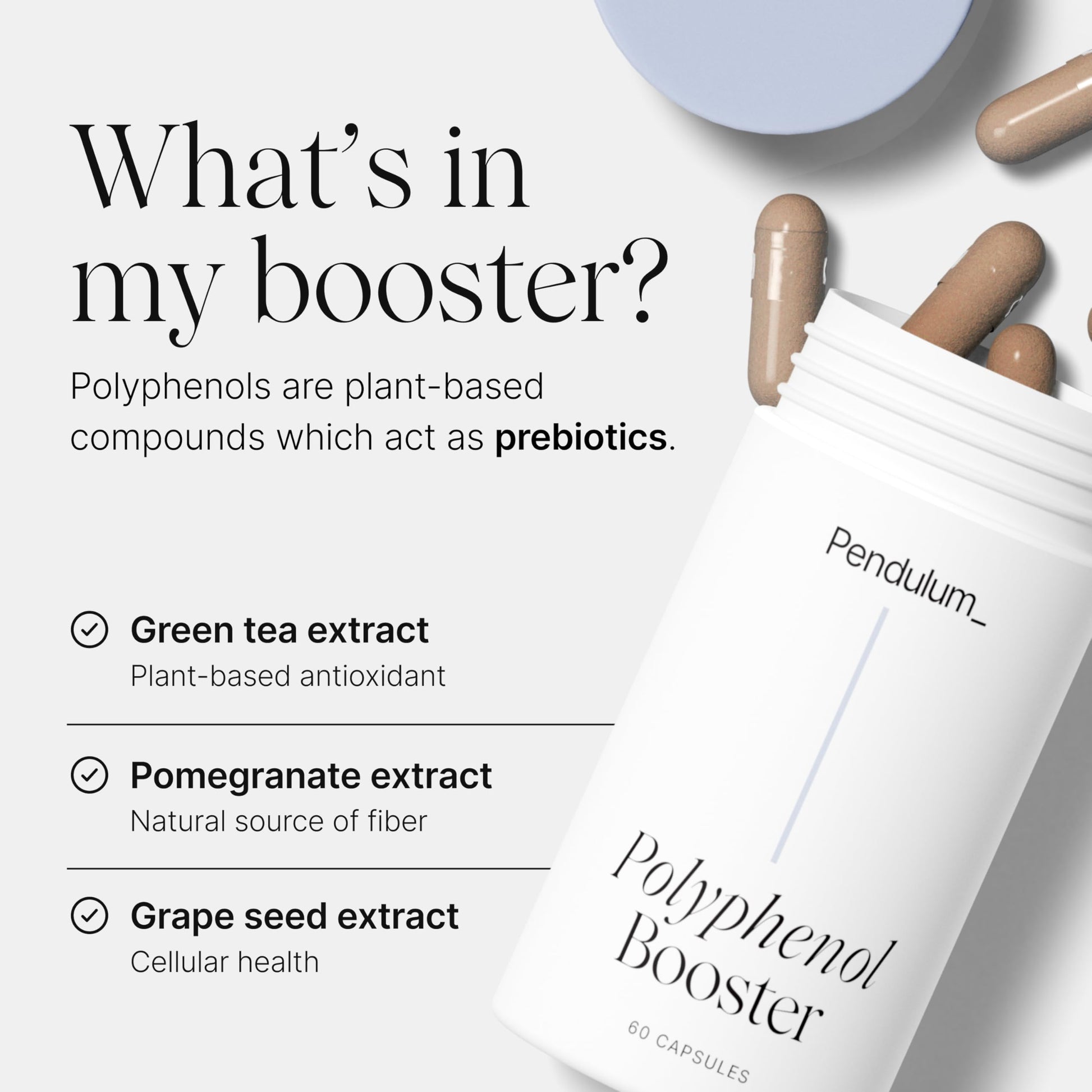 Pendulum Polyphenol Booster, Antioxidant from Superfoods, Beneficial Plant Compounds for Good Health, Helps Boost Akkermansia Muciniphila for Men & Women (60 Capsules, 1-Pack) Pendulum buy supplements canada