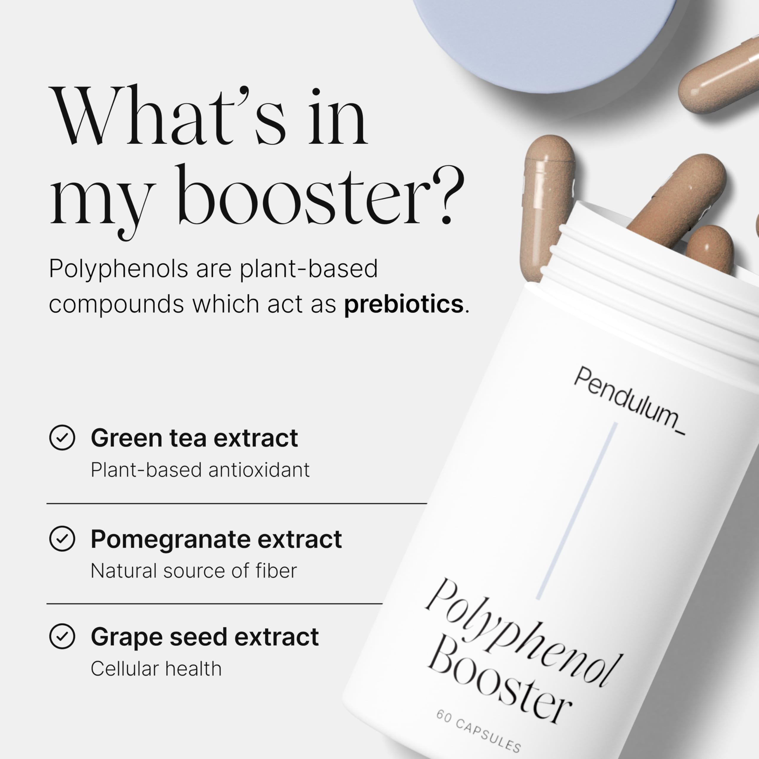 Pendulum Polyphenol Booster, Antioxidant from Superfoods, Beneficial Plant Compounds for Good Health, Helps Boost Akkermansia Muciniphila for Men & Women (60 Capsules, 1-Pack) Pendulum buy supplements canada