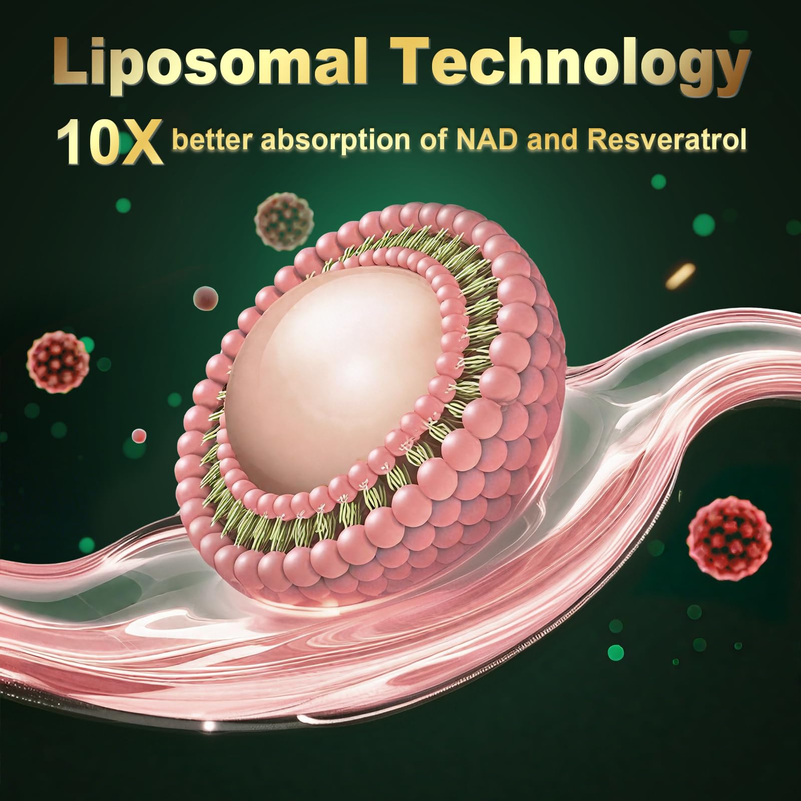 ANPOMER NAD Supplement with Liposomal Nicotinamide Riboside 600mg, Resveratrol, CoQ10, PQQ & D-Ribose, Electrolyte Blend, 30 Liquid Packets ANPOMER buy supplements canada