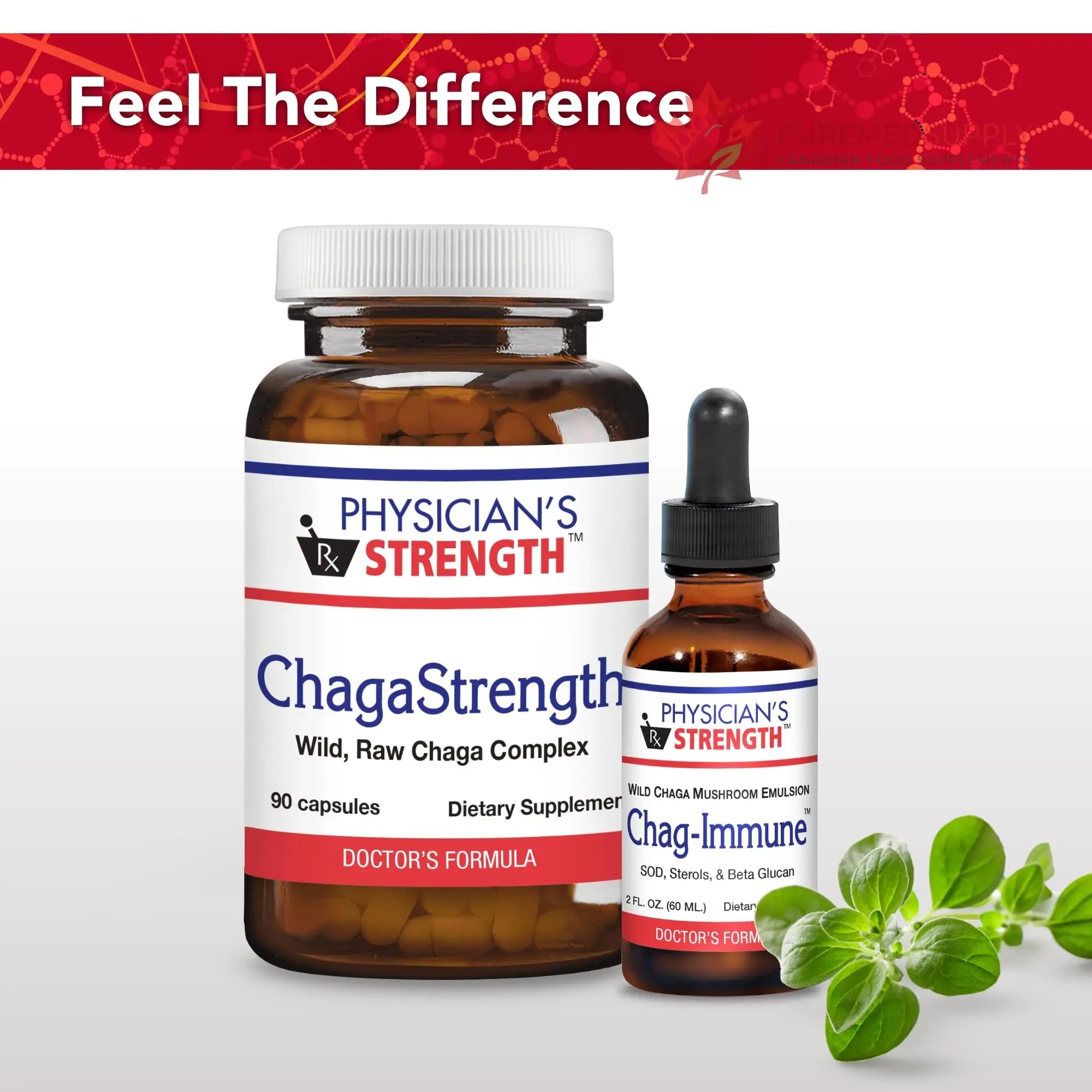 Physician's Strength ChagaStrength - 90 Capsules - Wild, Raw Chaga Complex - Immune & Physical Support - Non-GMO - 90 Servings Physician's Strength buy supplements canada