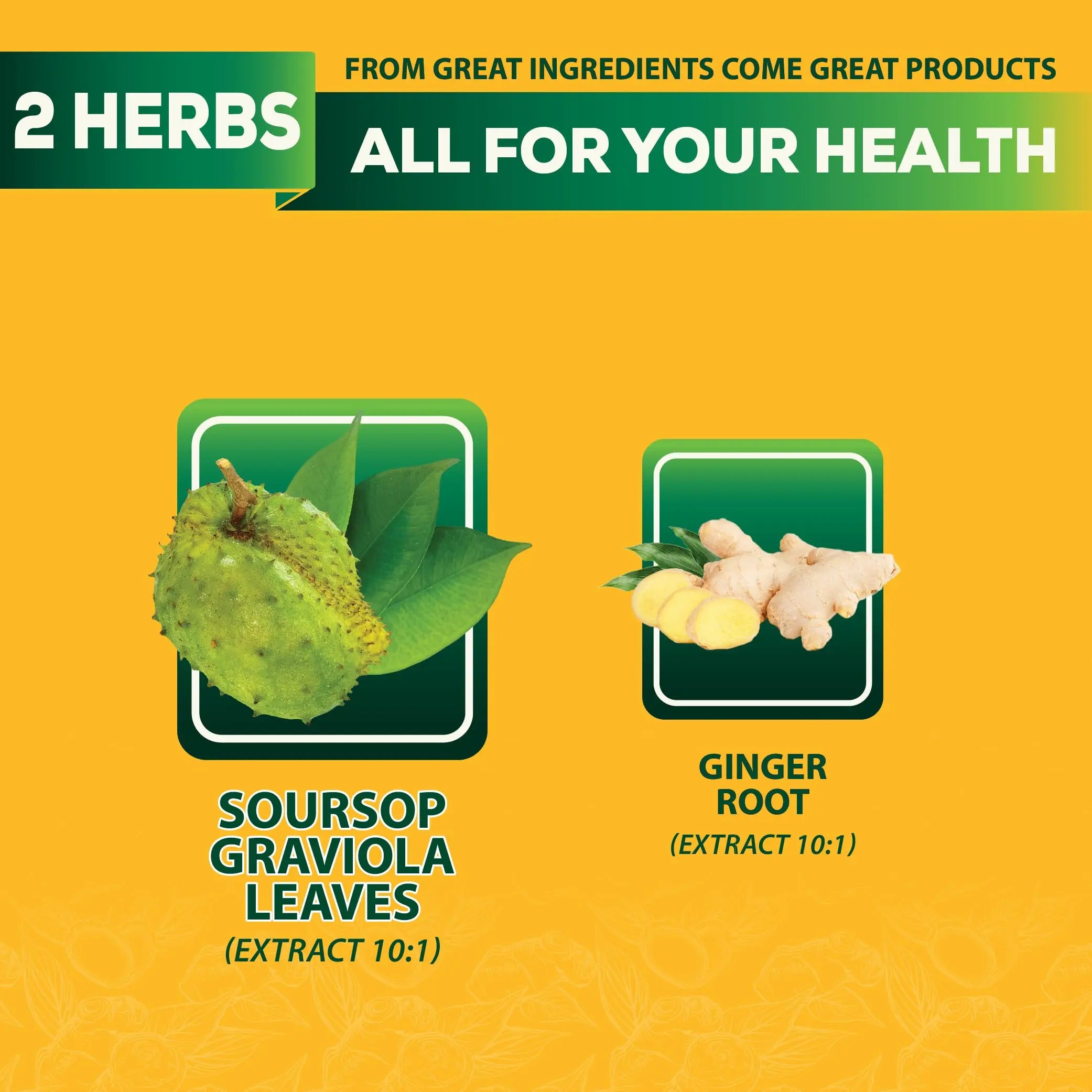 DEDICAD Soursop Leaves Tea Bags with Ginger, 30 Tea bags, 2gr/bag - Non-GMO/Caffeine free - Support Digestion, Well Skin, Immune System DEDICAD buy supplements canada