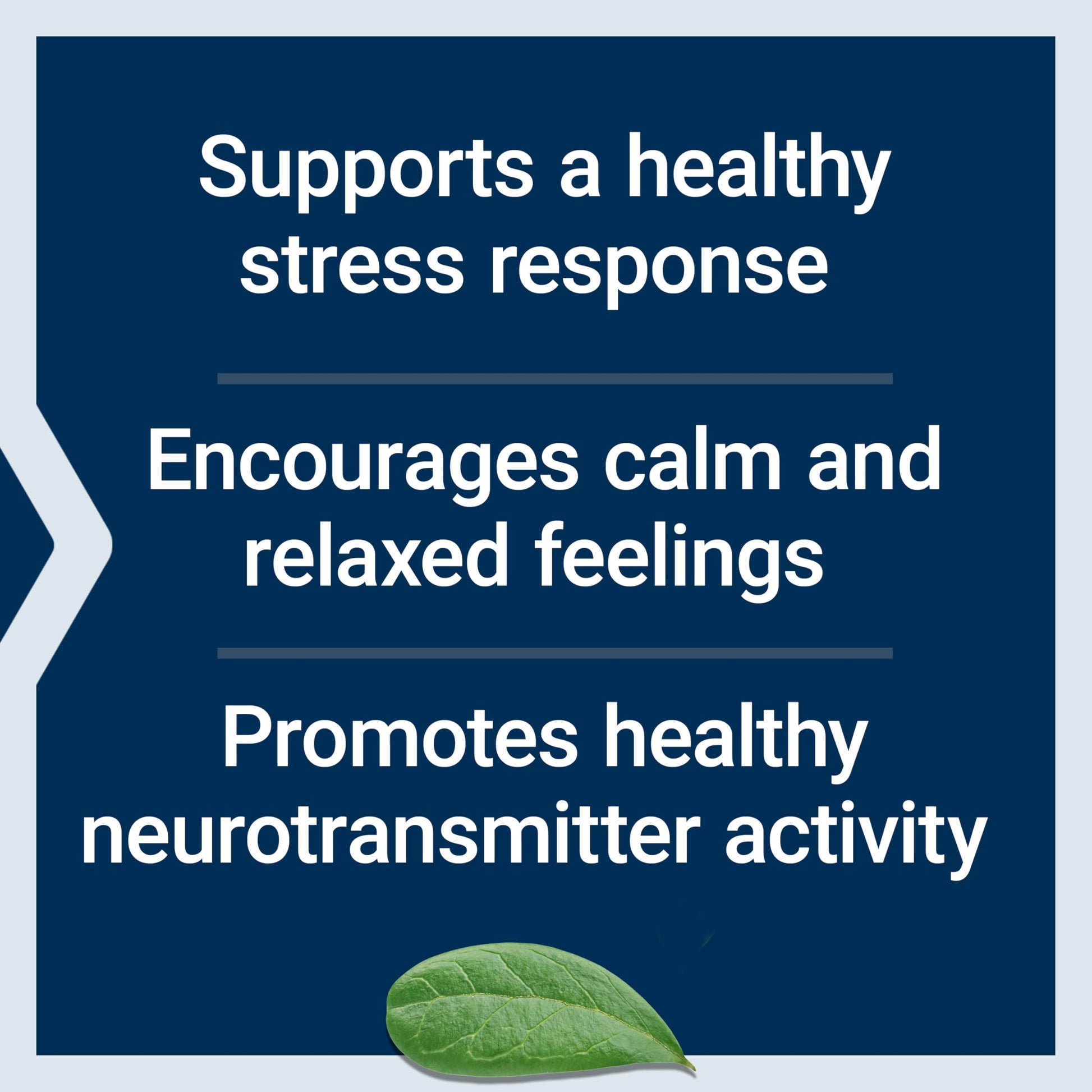 Life Extension Calm-Mag, Magnesium Acetyl taurinate, Daily Stress Management Formula, Supports Calmness and Relaxation, Gluten-Free, Non-GMO, Vegetarian, 30 Capsules Life Extension buy supplements canada
