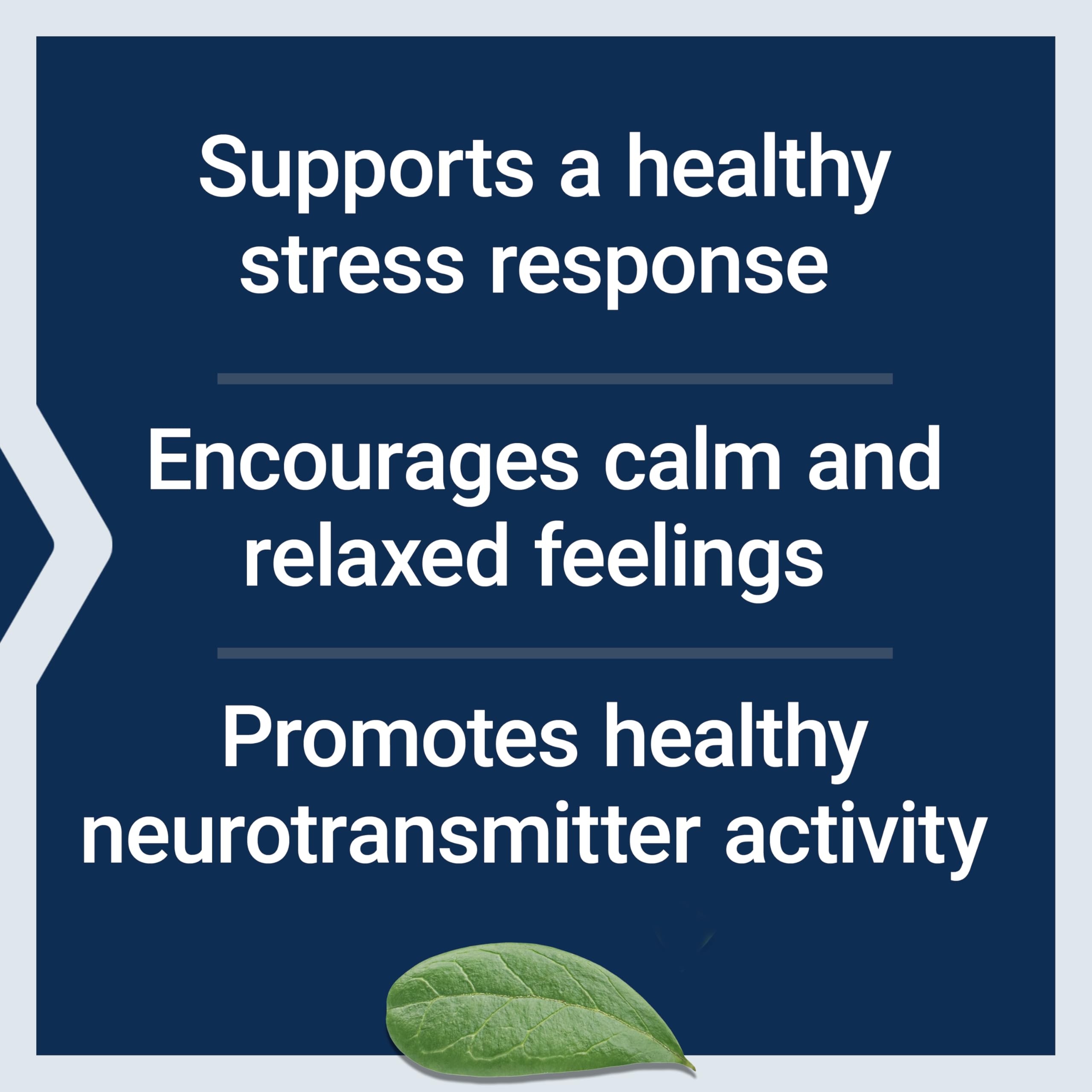 Life Extension Calm-Mag, Magnesium Acetyl taurinate, Daily Stress Management Formula, Supports Calmness and Relaxation, Gluten-Free, Non-GMO, Vegetarian, 30 Capsules Life Extension buy supplements canada