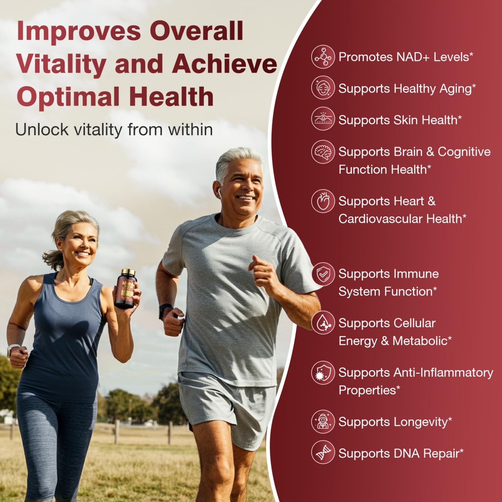 19 in 1 NMNH (Dihydronicotinamide Mononucleotide) 1000mg Per Serving, Nad Supplement Boost NAD+ Levels Nad Resveratrol Supplement with Quercetin, Vitamin D3 K2, Healthy Aging, Energy, 90 Capsules molorik pure buy supplements canada