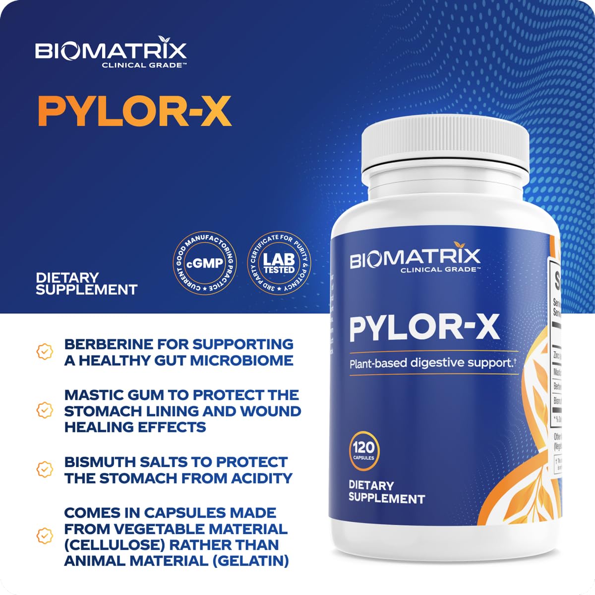 BioMatrix Pylor-X Gut Health Supplement – Mastic Gum, Berberine, Zinc Carnosine & Bismuth Salts for Gastric Support, Digestive Comfort, Stomach Lining Protection - (120 Capsules) 30-60 Day Supply BioMatrix buy supplements canada