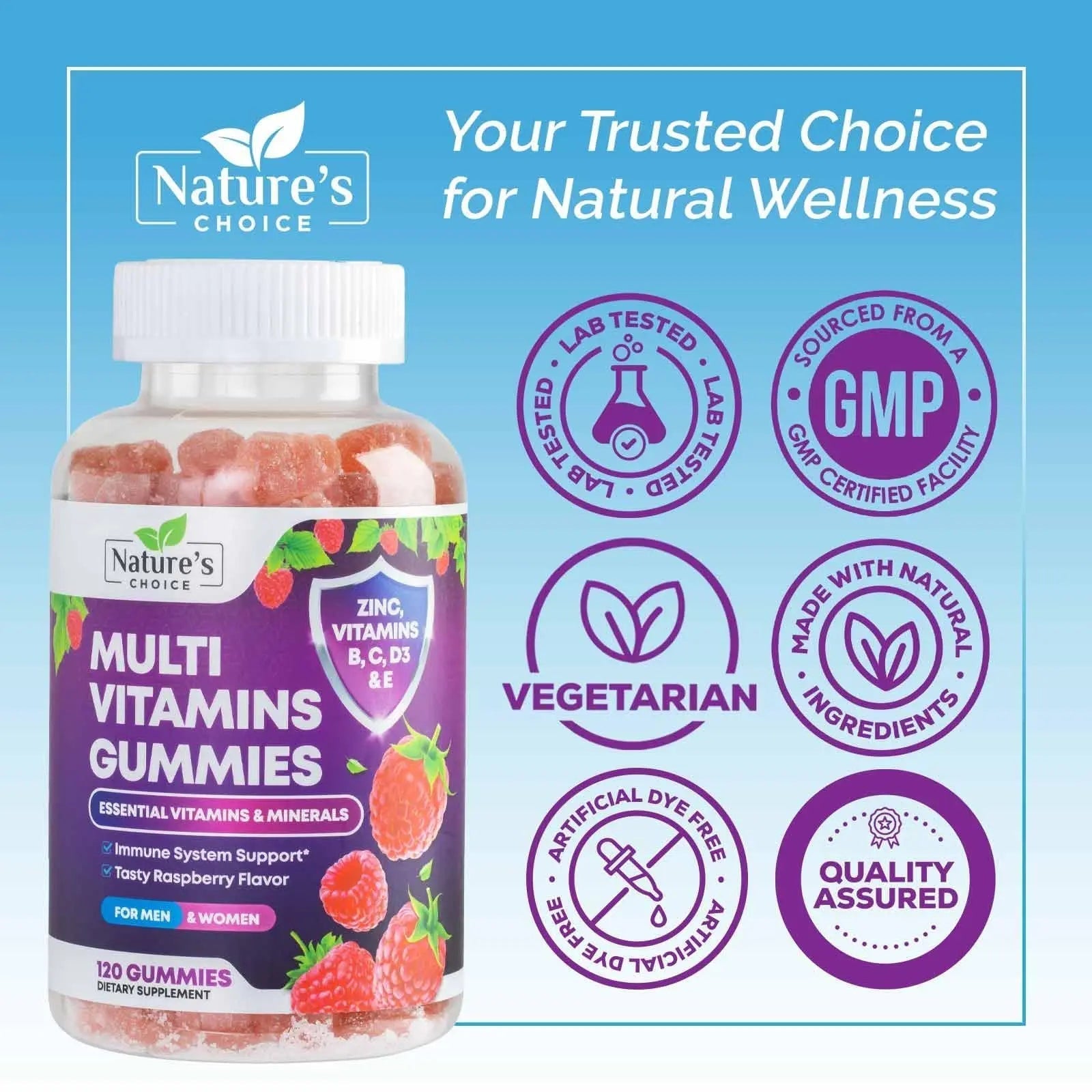 Multivitamin Gummies for Adults - Complete Adult Multivitamins Gummy with Essential Vitamins A, C, D, E, & High Potency B12 for Women & Men Nature's Choice buy supplements canada