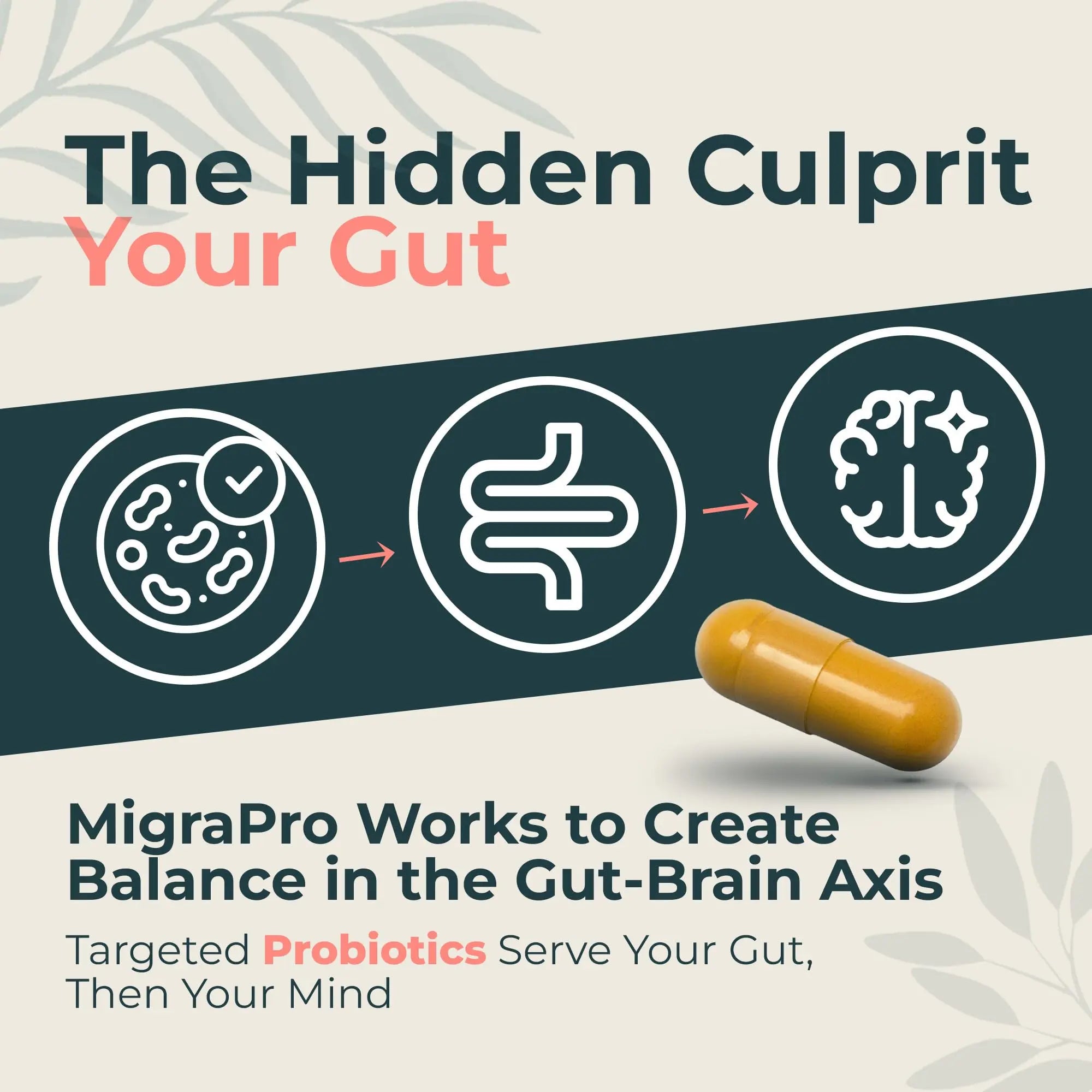 Dr. Munnerlyn MigraPro with Probiotics, Brain and Gut Health Support Supplement with Magnesium, Riboflavin, CoQ10, Ginger Root, Asian Ginseng, Vitamin C, Feverfew & Turmeric, Gluten Free, 90 Capsules Dr. Munnerlyn buy supplements canada