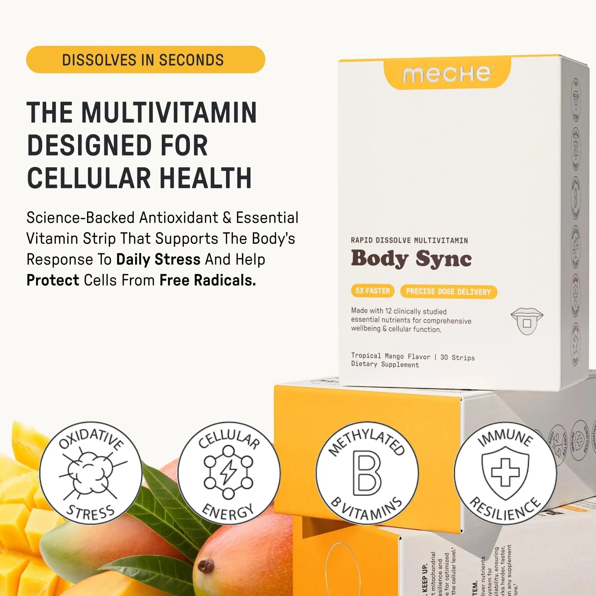 Meche Multivitamin for Women and Men Strip Supplements - Vitamins A, C, D, B6, Methylated B12, Folate, Biotin - Beauty, Energy, Immune Support Meche buy supplements canada