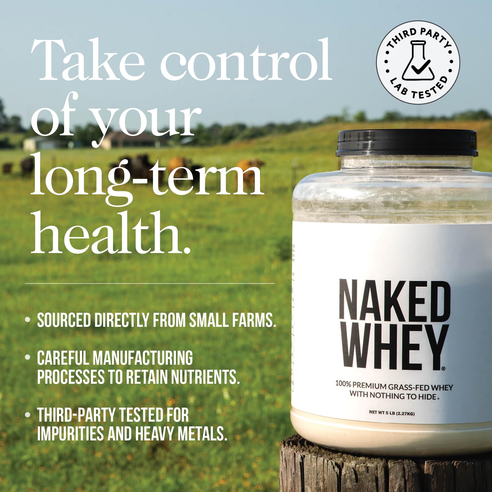 NAKED Whey 1Lb - Only 1 Ingredient, Grass Fed Whey Protein Powder, NSF Certified, Undenatured, No Gmos, No Soy, Gluten Free NAKED buy supplements canada
