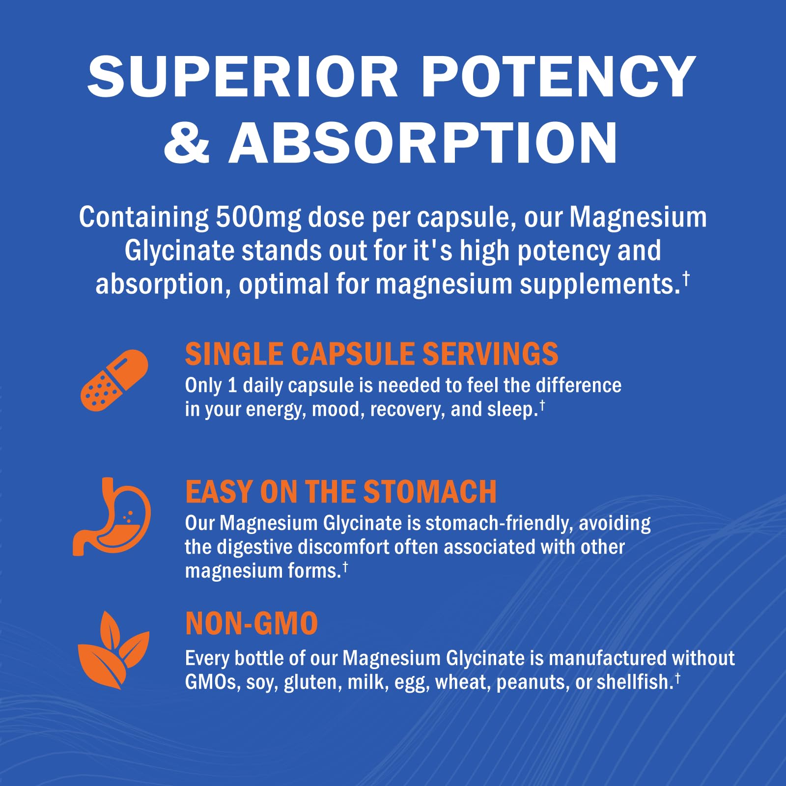 Magnesium Glycinate - High Absorption Magnesium Supplement 500mg Per Serving for Stress Relief, Sleep, Heart and Bone Health, Nerve Support - Non-GMO, Gluten-Free, Gentle on Stomach, 240 Capsules GOODBIO buy supplements canada