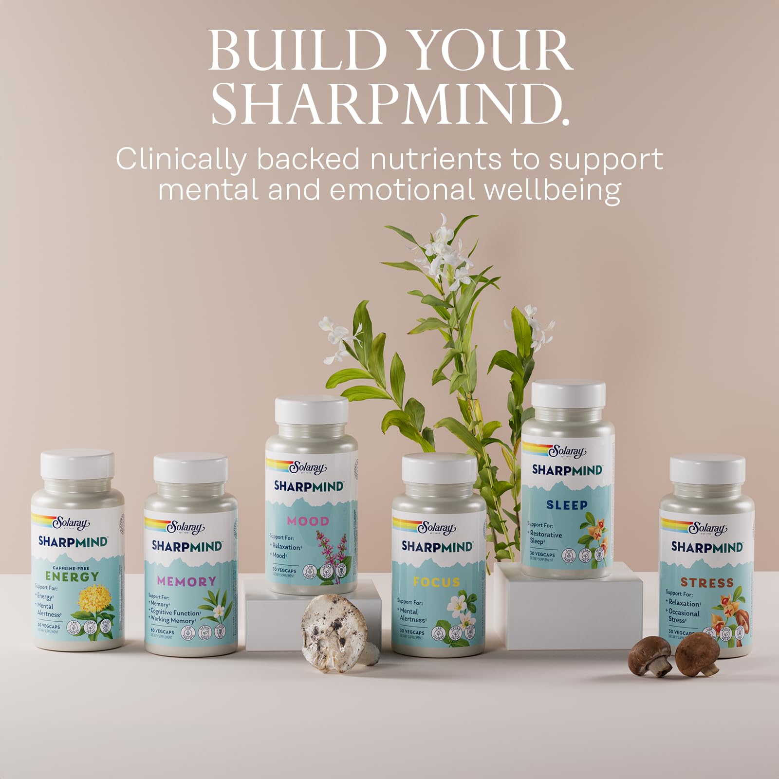 SOLARAY SharpMind Focus, Mental Alertness Nootropic Supplement for Healthy Brain Fog, Cognizin Citicoline, Lions Mane Mushroom, Bacopa Monnieri, 60 Day Money Guarantee, 60 Serv 60 Veg Caps SOLARAY buy supplements canada