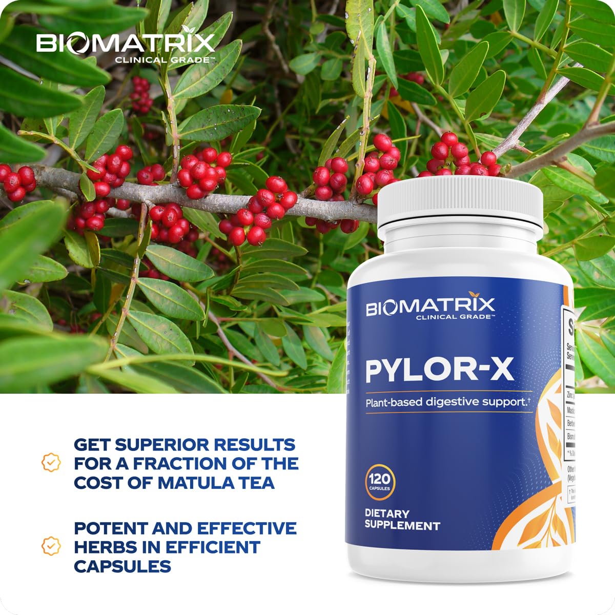 BioMatrix Pylor-X Gut Health Supplement – Mastic Gum, Berberine, Zinc Carnosine & Bismuth Salts for Gastric Support, Digestive Comfort, Stomach Lining Protection - (120 Capsules) 30-60 Day Supply BioMatrix buy supplements canada