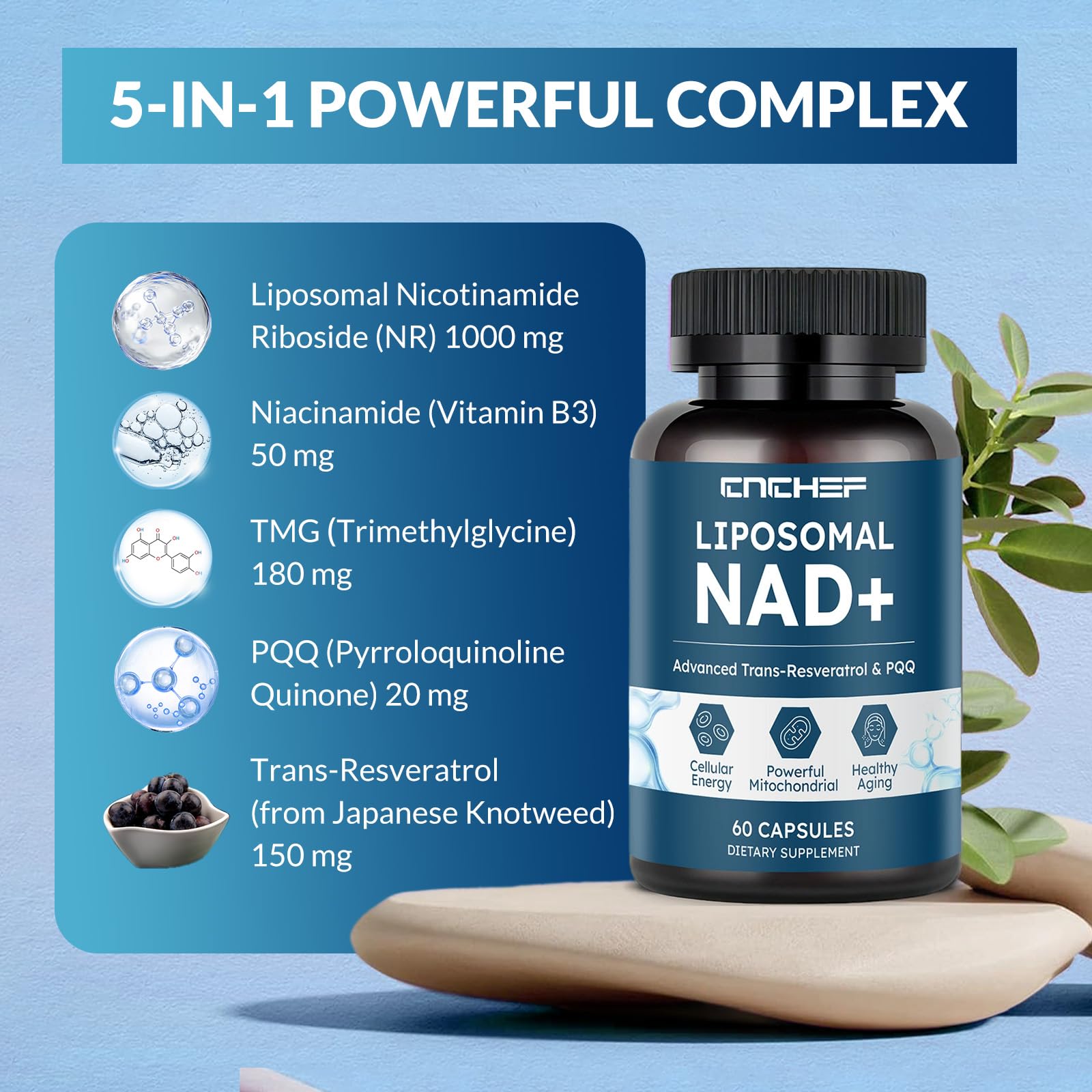 CNCHEF Liposomal NAD Supplement -1000mg, NAD Resveratrol Supplement for Women & Men with Nicotinamide Riboside, Resveratrol, PQQ & TMG, NAD Plus Boosts NAD+ Levels, Anti-Aging & Brain, 60 Capsules CNCHEF buy supplements canada