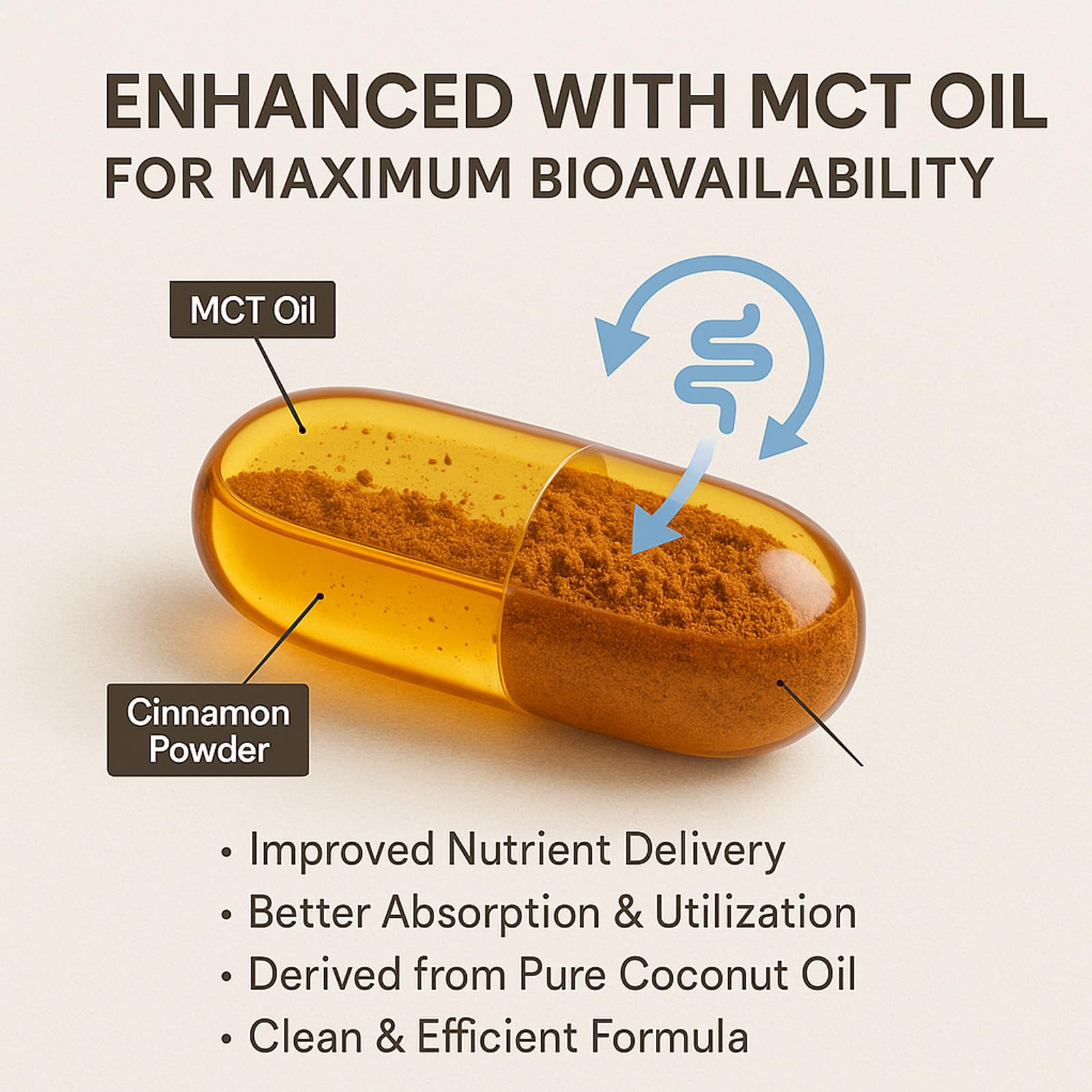 LIRAE Ceylon Cinnamon Softgels with MCT Oil – 300 Softgels – True Ceylon Cinnamon Supplement – Non-GMO, Gluten Free LIRAE buy supplements canada