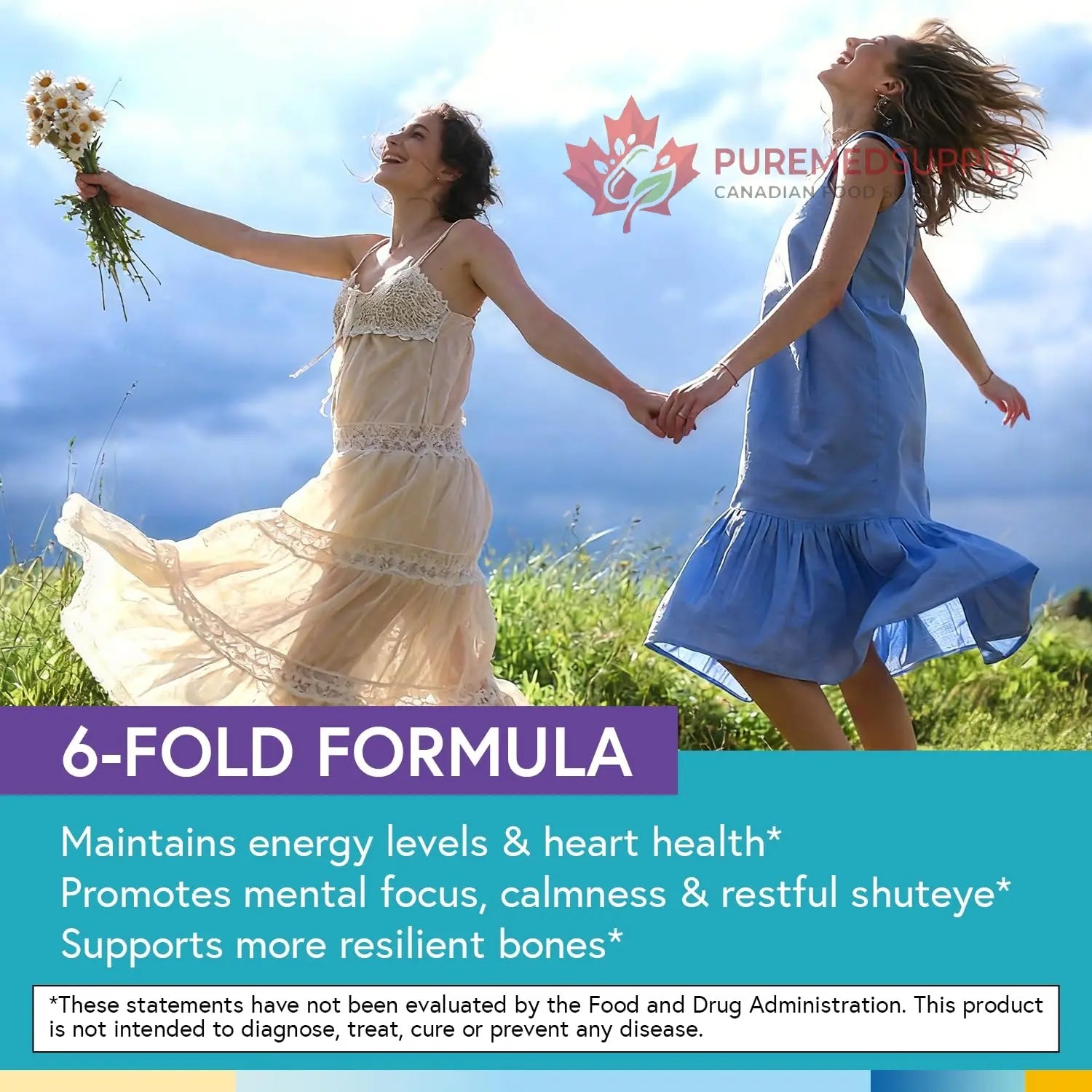 Terranics Magnesium Complex, 6-in-1, High Absorption, Glycinate, Citrate, Aspartate, Gluconate, Calmness, Heart, Bone, 240 Capsules, Non-Buffered Terranics buy supplements canada