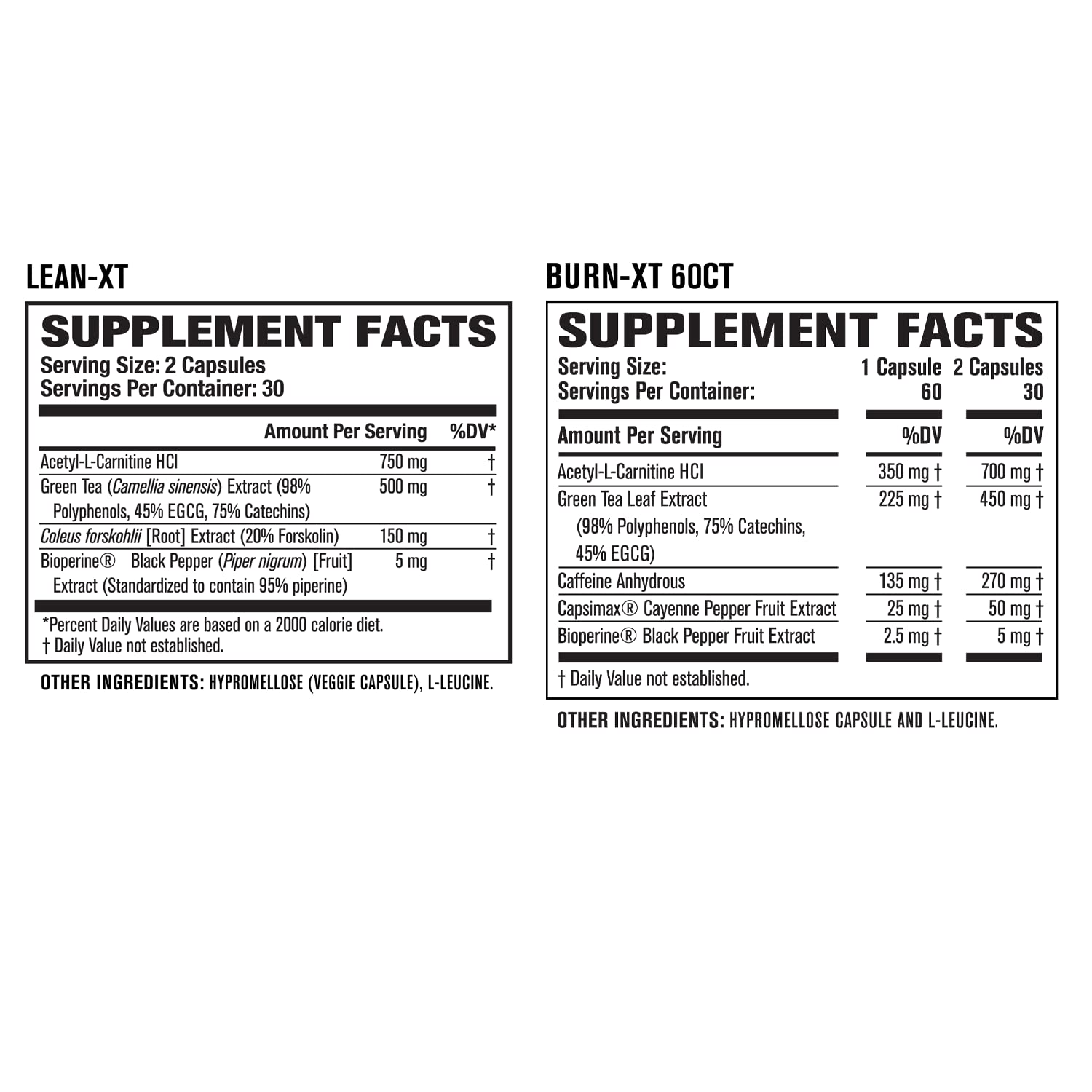 Burn-XT Thermogenic Fat Burner, Lean PM Nighttime Fat Burner & Sleep Aid Jacked Factory buy supplements canada