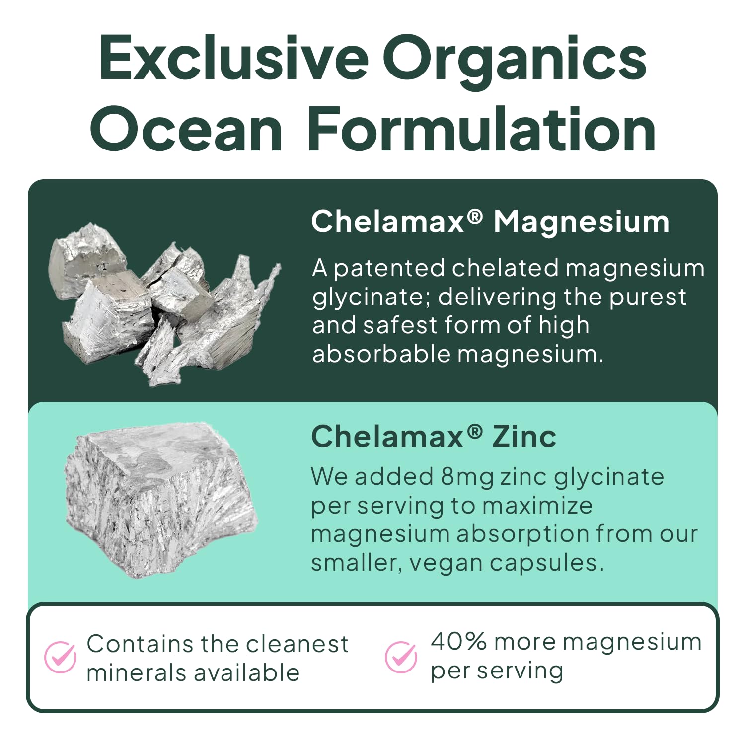Organics Ocean Pure Magnesium Glycinate with Zinc - Maximum Strength Chelated Magnesium Supplement for Women and Men for Muscle Cramps and Sleep Support - 3 Bottles Organics Ocean buy supplements canada