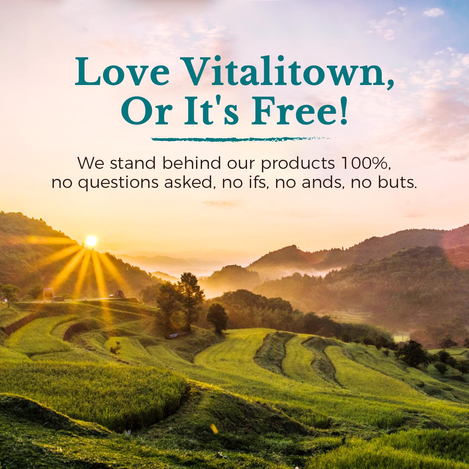 VITALITOWN Probiotics 120 Billion CFUs | 36 Strains, with Prebiotics & Digestive Enzymes for Men Women | Shelf Stable | Digestive Health & Immune Support | Vegan, Non-GMO | 30 Delayed Release Veg Caps Vitalitown buy supplements canada