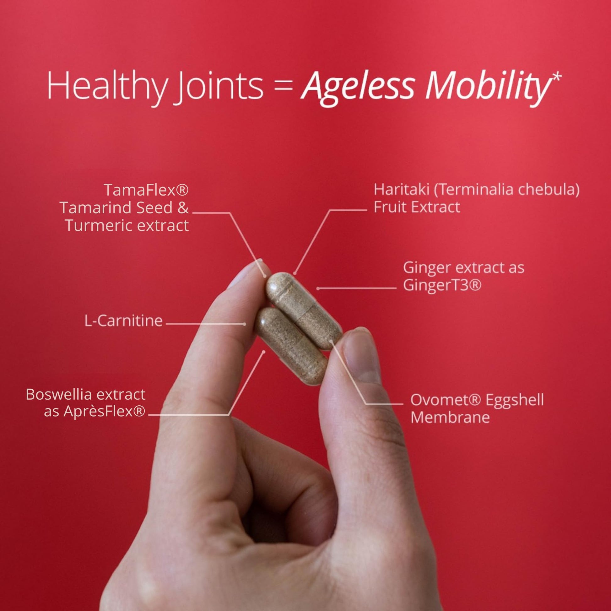 Qualia Joint Health 9 Advanced Joint Health nutrients: denatured Collagen, boswellia, tumeric, Boron, Ginger, L-carnitine. Cartilage Health, Tendon Strength, Healthy Joint Aging (1 Month Supply) QUALIA LIFE SCIENCES buy supplements canada