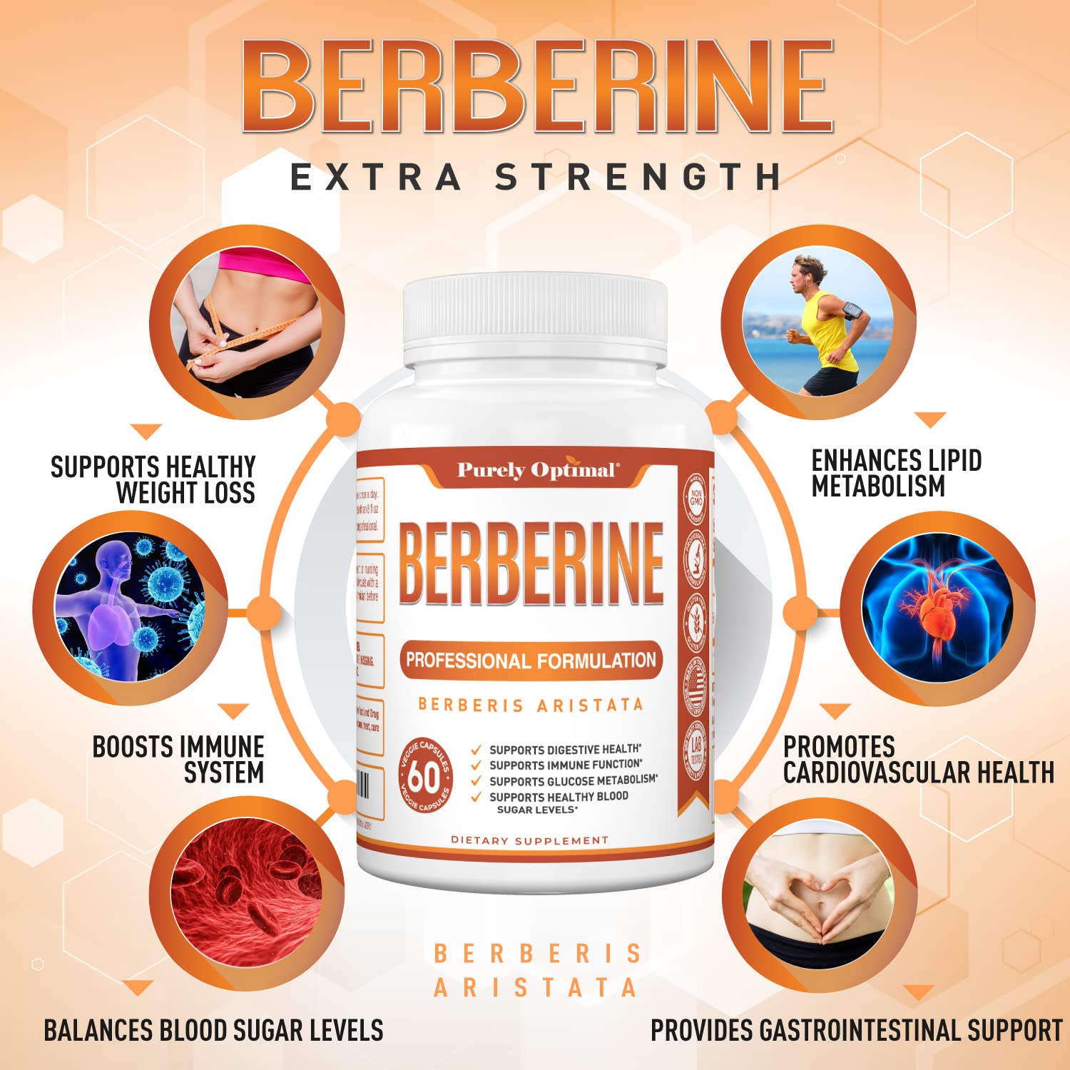 Purely Optimal Premium Berberine Supplement - 1200mg Berberine HCl, Non-GMO Purely Optimal buy supplements canada