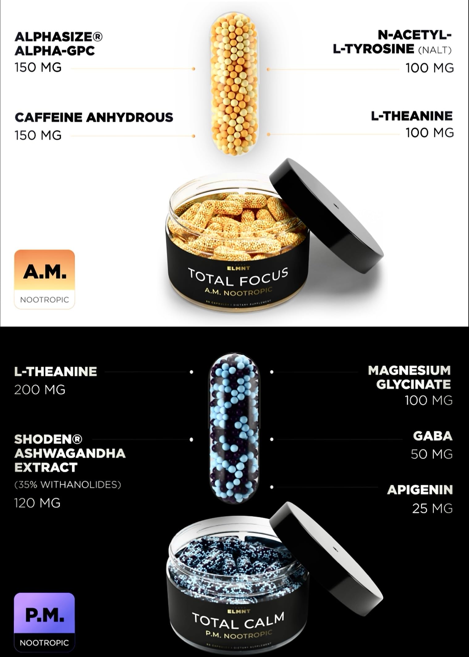 AMPM Nootropic Total Focus + Calm 9X Strength w. Caffeine, L-Theanine, Alpha GPC, L-Tyrosine, Ashwagandha - X-Release Energy Pills Nootropics Brain Support Supplements for Memory and Focus Supplement TERRA ELMNT buy supplements canada