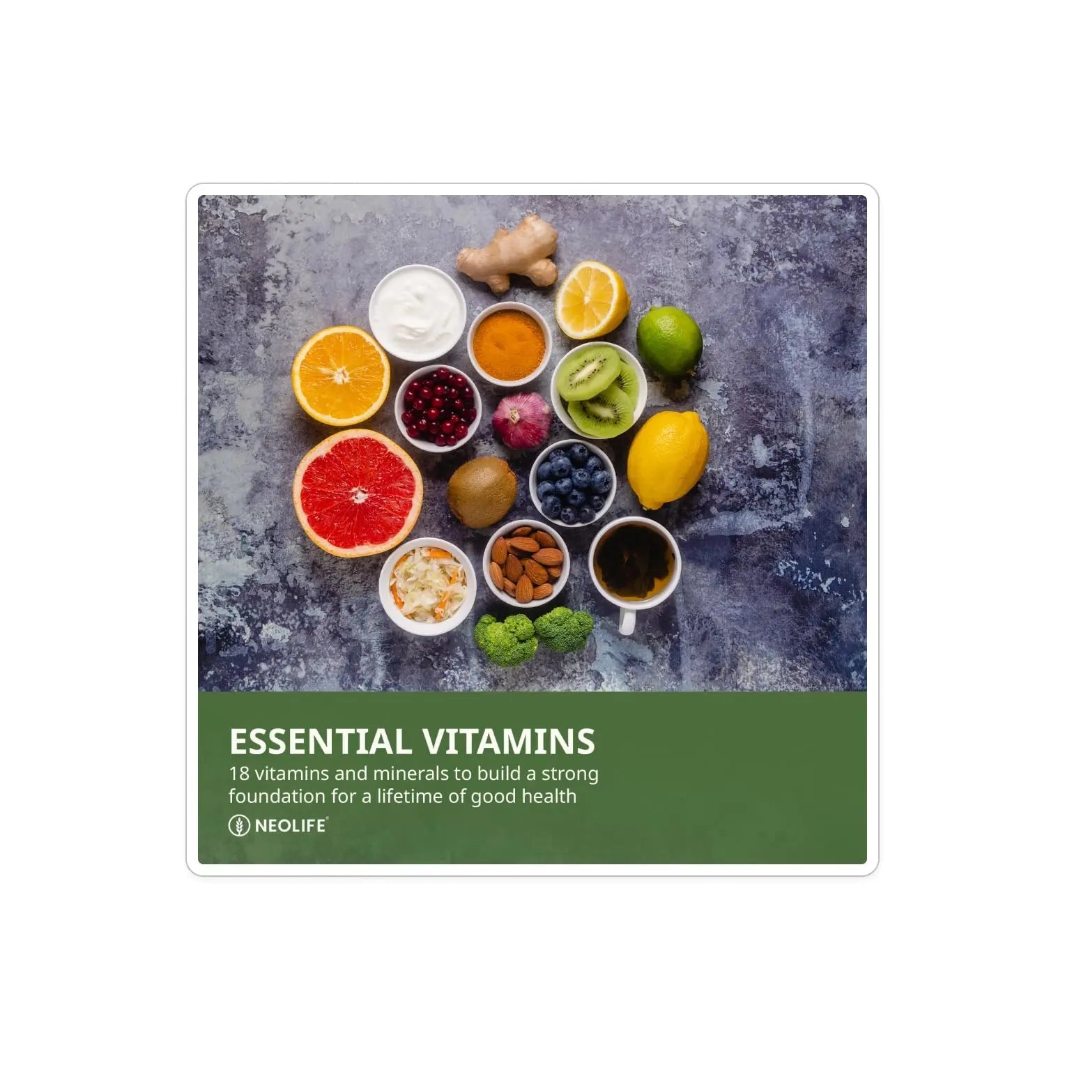 NeoLife Vita-Squares - Chewable Multivitamin for Kids, 18 Essential Vitamins & Minerals, Iron, Zinc, Vitamin D3, B-Complex NeoLife buy supplements canada