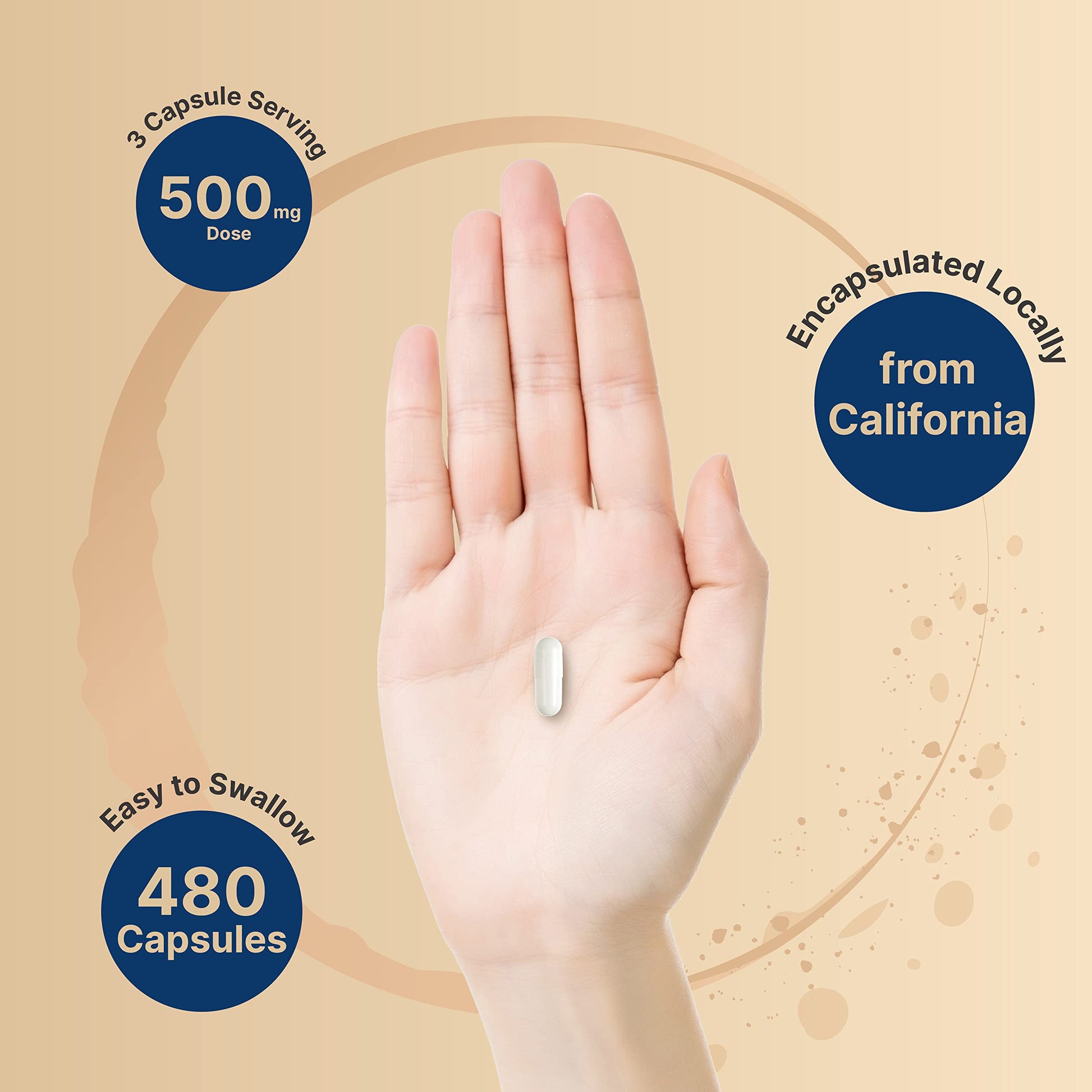 2 Pack Magnesium Citrate 500mg, 480 Capsules | High Purity Elemental Form NatureBell buy supplements canada