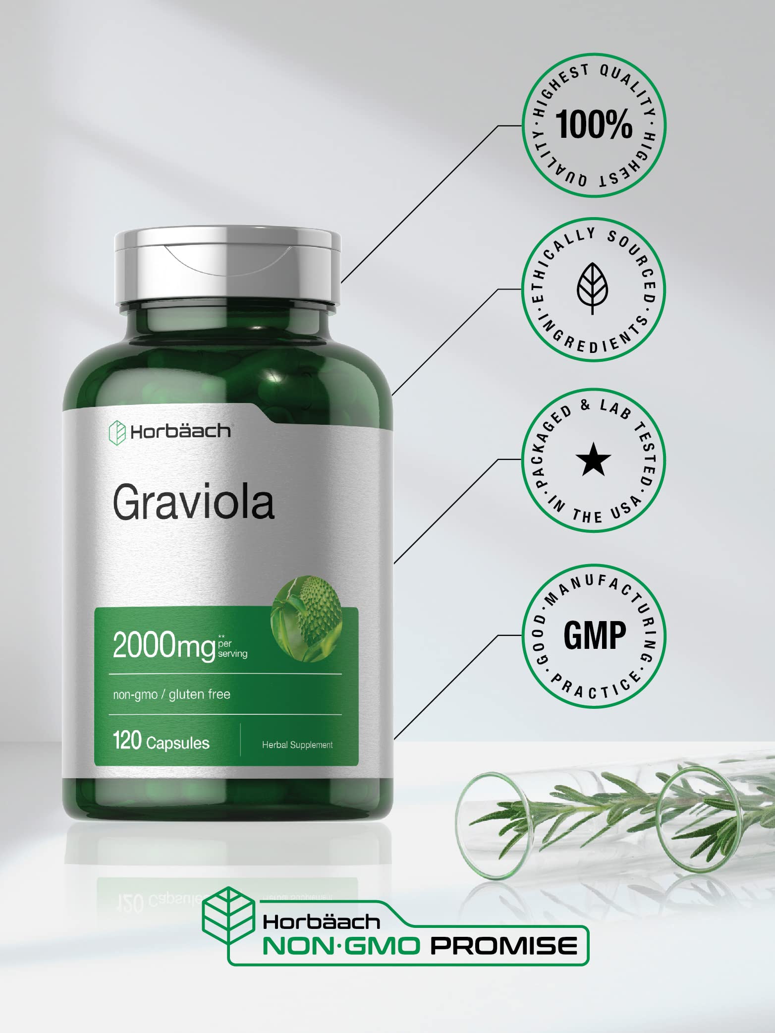 Graviola Extract 2000 mg 120 Capsules With Graviola Proprietary Blend Ingredient Horbäach buy supplements canada