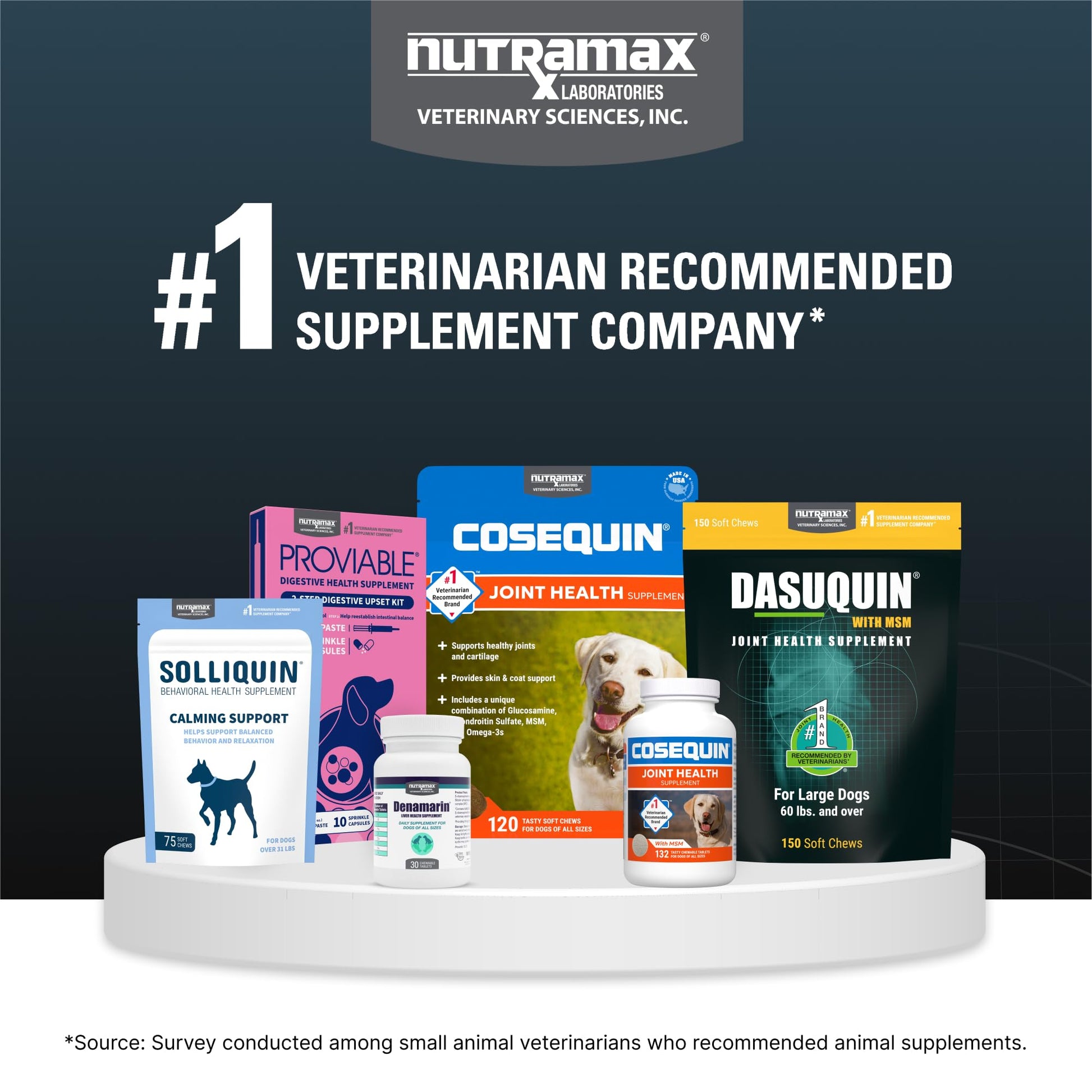 Nutramax Dasuquin for Large Dogs, Joint Health Supplement, Contains Glucosamine for Dogs, Plus Chondroitin, ASU and More, Supports Healthy Joints, Soft Chews, 84 Count Nutramax Laboratories buy supplements canada