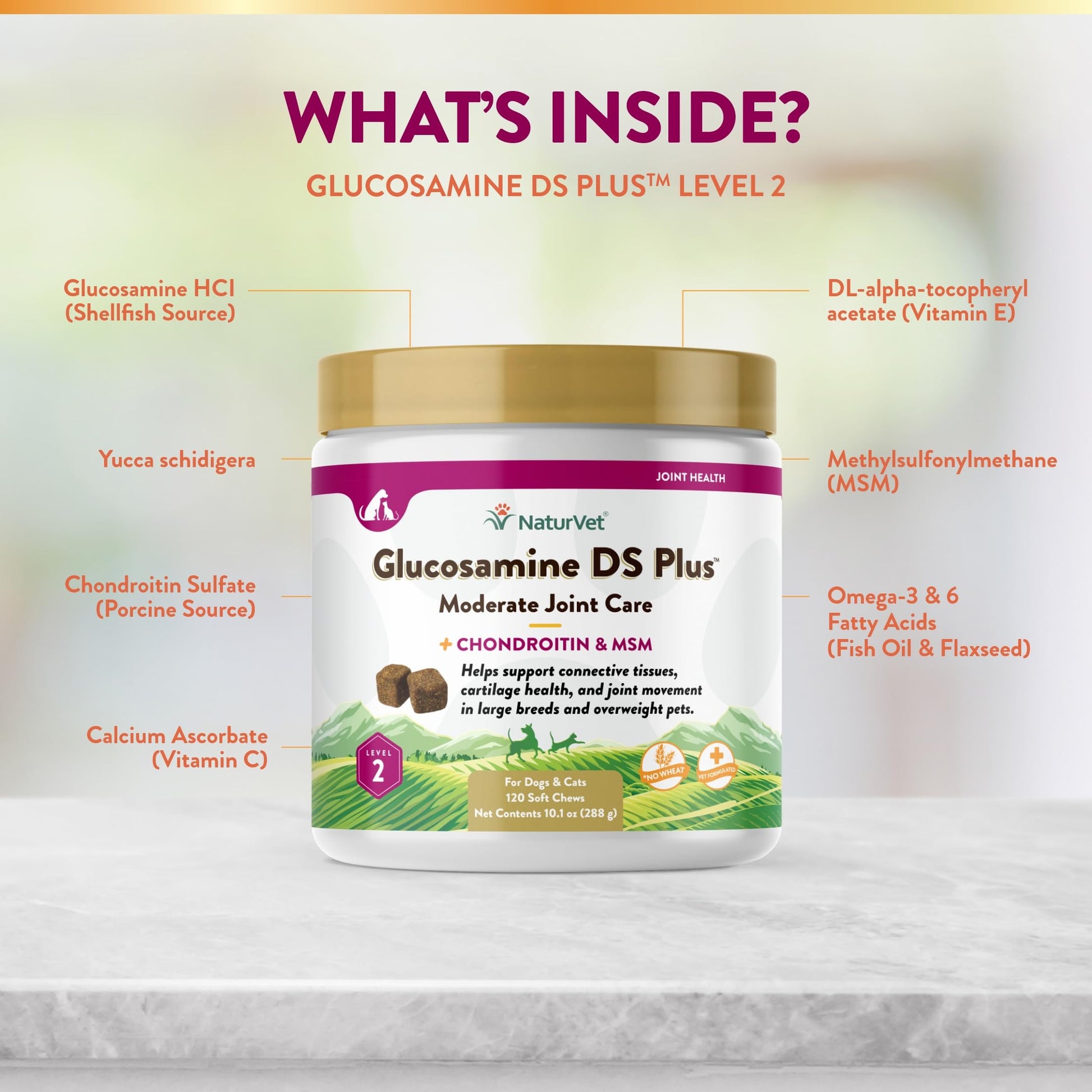 NaturVet – Glucosamine DS Plus - Level 2 Moderate Care – Supports Healthy Hip & Joint Function – Enhanced with Glucosamine, MSM & Chondroitin – for Dogs & Cats–120 Soft Chews NaturVet buy supplements canada