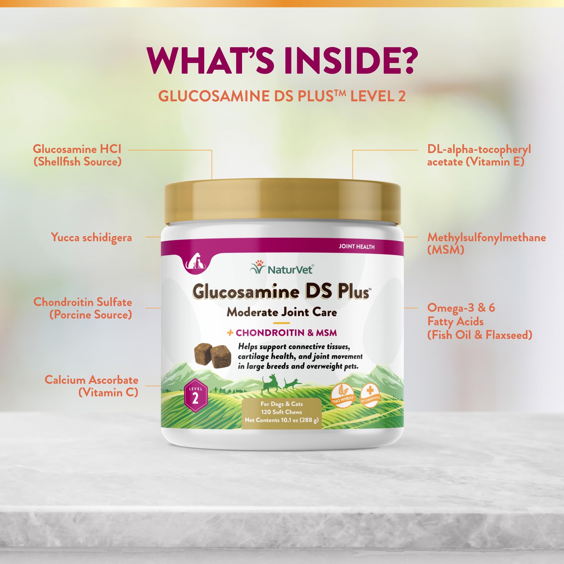 NaturVet – Glucosamine DS Plus - Level 2 Moderate Care – Supports Healthy Hip & Joint Function – Enhanced with Glucosamine, MSM & Chondroitin – for Dogs & Cats–120 Soft Chews NaturVet buy supplements canada