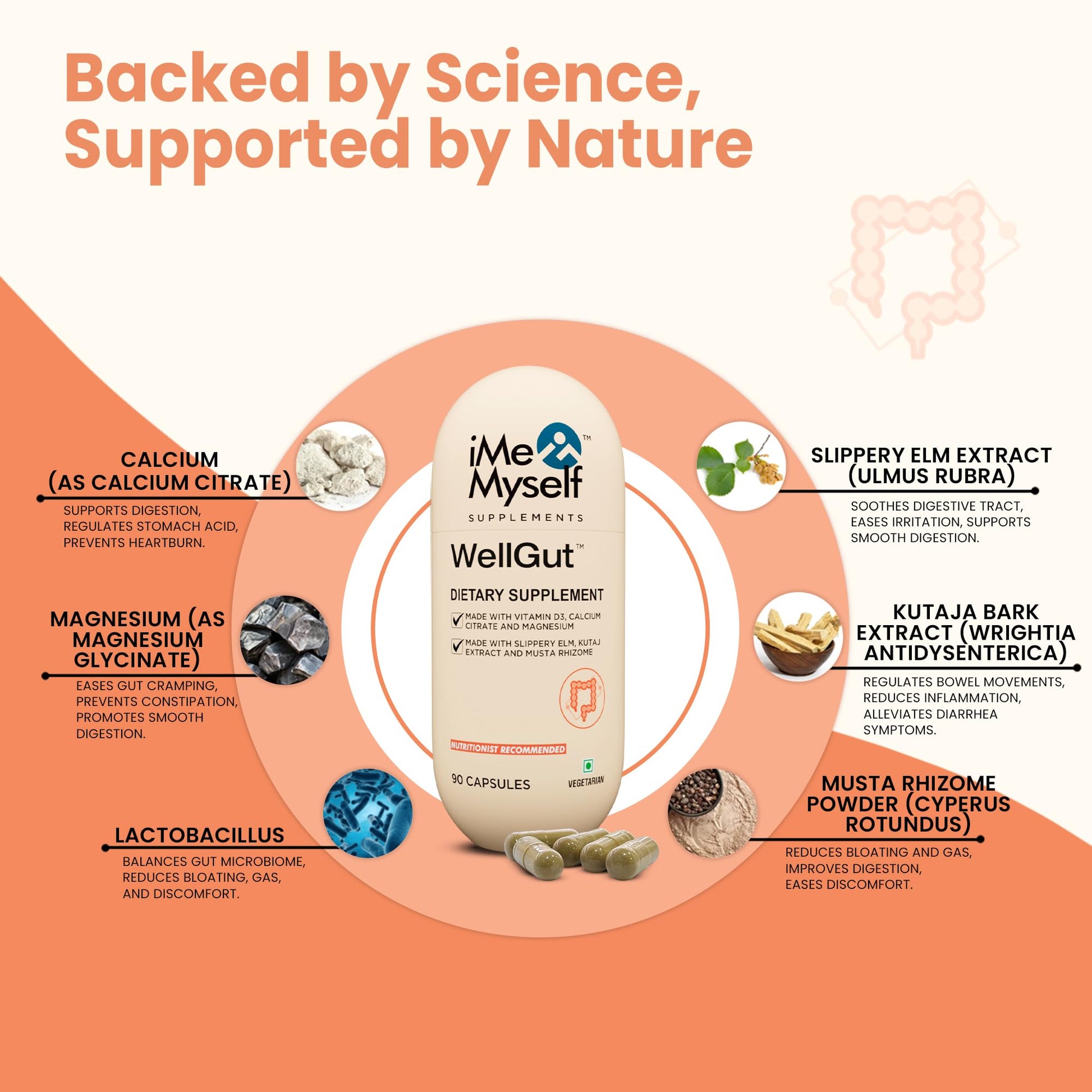iMeMyself WellGut Daily Herbal Supplement | Traditional Herbs with Minerals & Probiotics 90 Vegan Capsules iMeMyself buy supplements canada