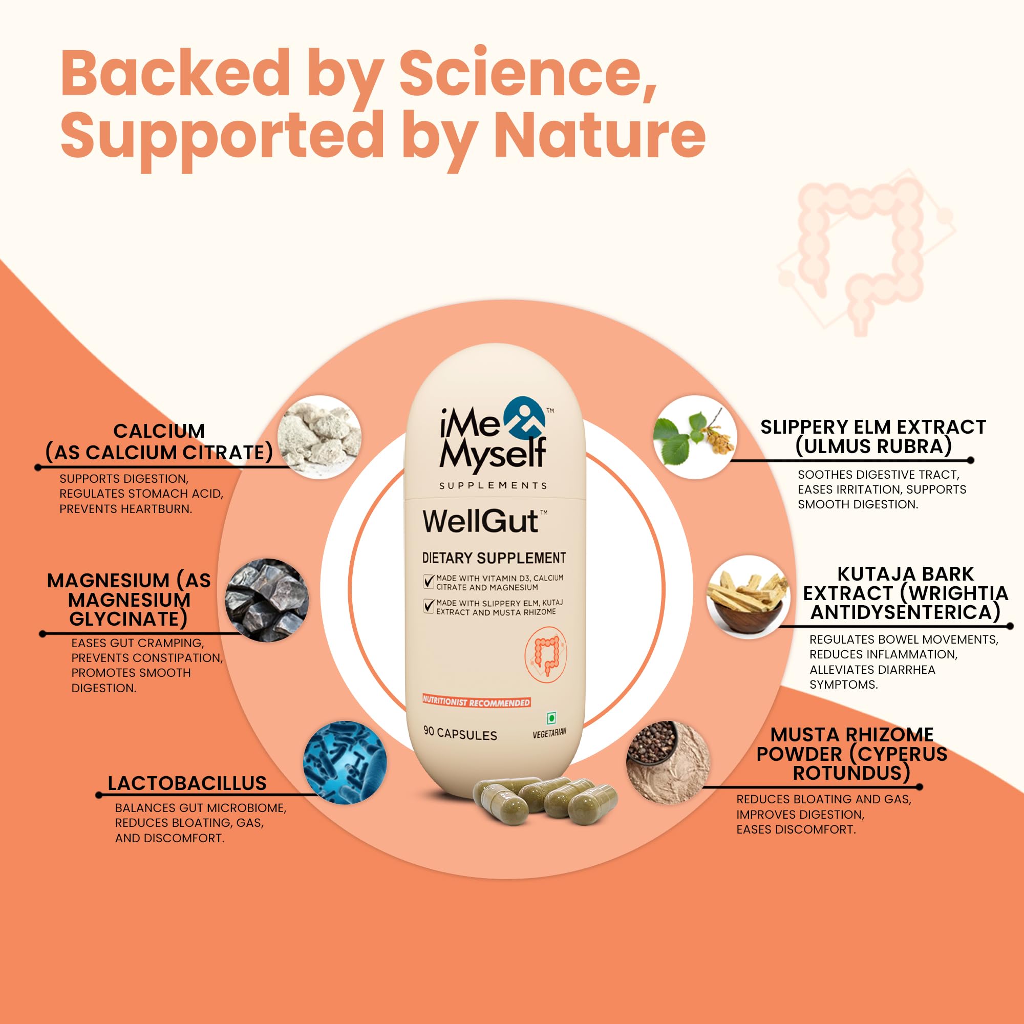 iMeMyself WellGut Daily Herbal Supplement | Traditional Herbs with Minerals & Probiotics 90 Vegan Capsules iMeMyself buy supplements canada