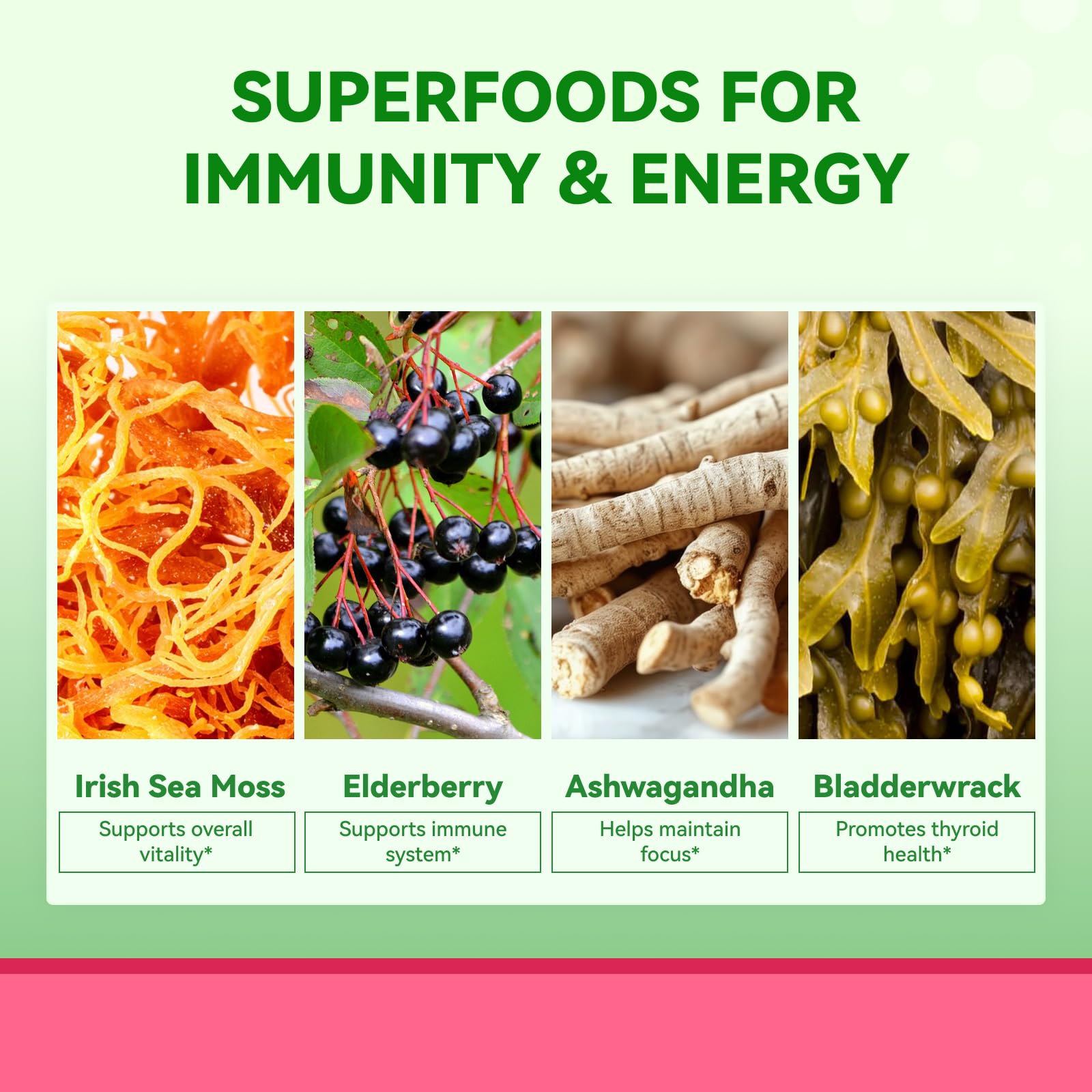 Inner Brightness Sea Moss 4000mg Gummies with Ashwagandha, Elderberry, Apple Cider Vinegar, Bladderwrack, Burdock Root – Immune Support – Mixed Berry Flavor – 60 Count Inner Brightness buy supplements canada
