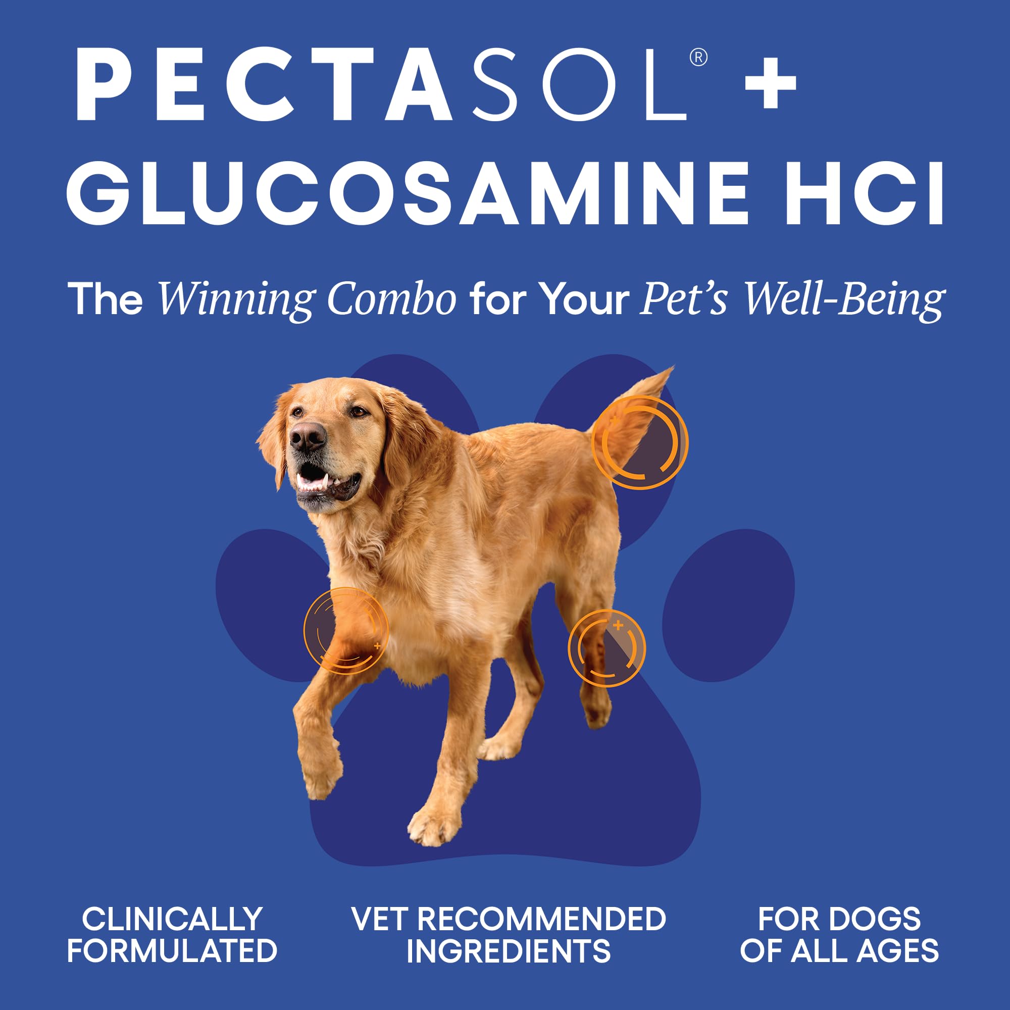 ecoNugenics PectaPaws Chewable Dog Supplements – Beef Flavor, 90 Count – PectaSol Modified Citrus Pectin + Glucosamine HCI for Dogs of All Ages, Supports Mobility, Joints, Immune Function, Pain Relief EcoNugenics buy supplements canada