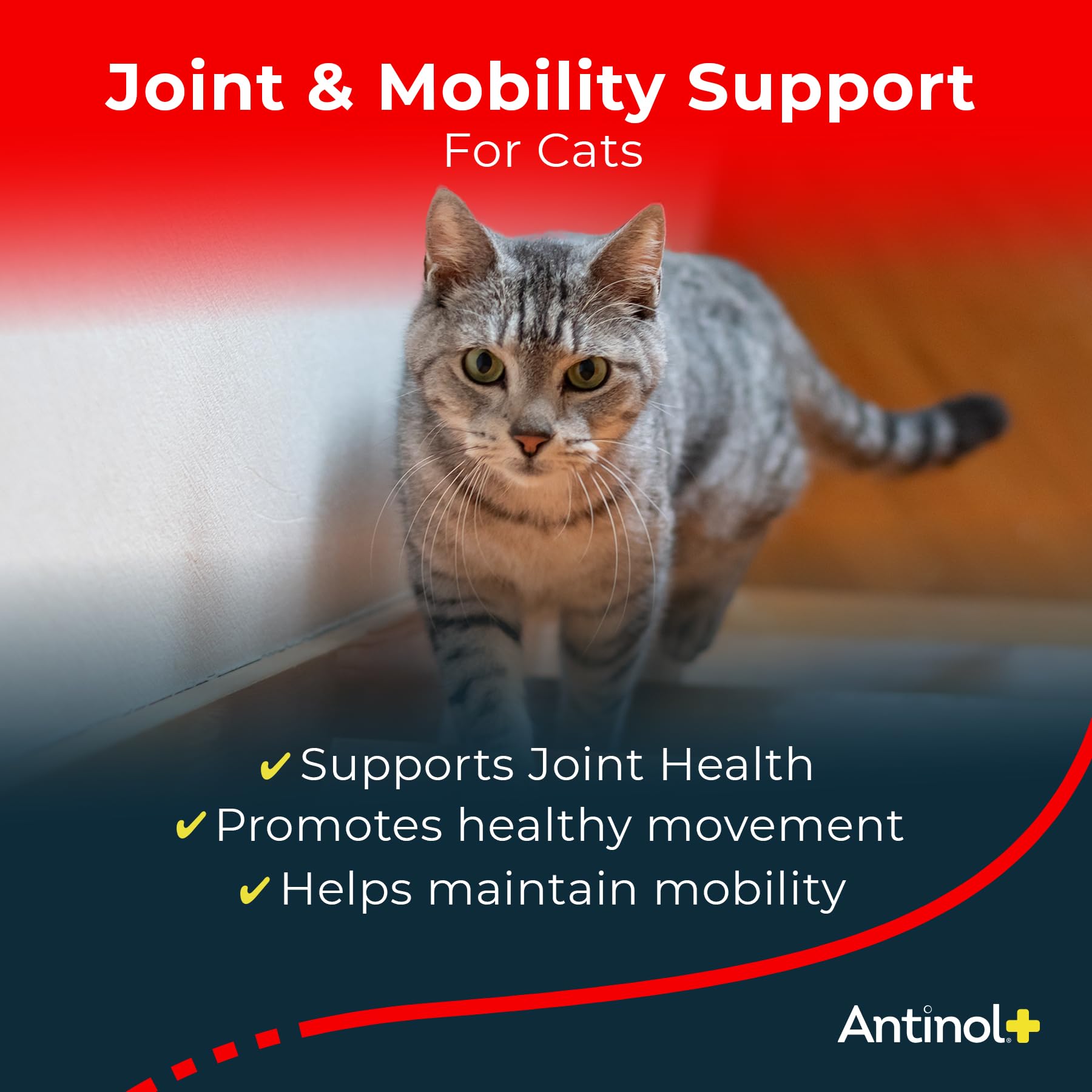 Antinol Plus, Mobility, Hip, and Joint Supplement for Cats, Green-Lipped Mussels and Krill Oil - Cat Joint Supplement, 60 Soft Gels Antinol buy supplements canada