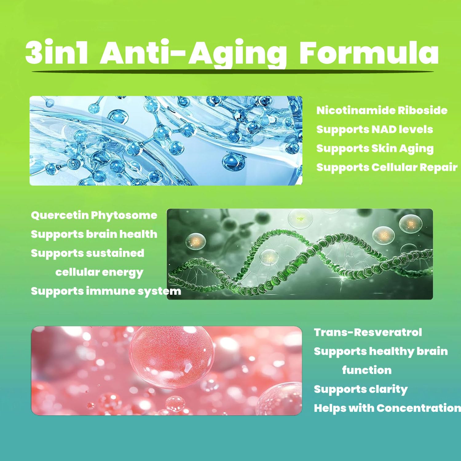 Renyqatt NAD+ Supplement - Liposomal Nicotinamide Riboside - Supplement for Anti-Aging, Energy, Focus - 80 Capsules（1B） Renyqatt buy supplements canada