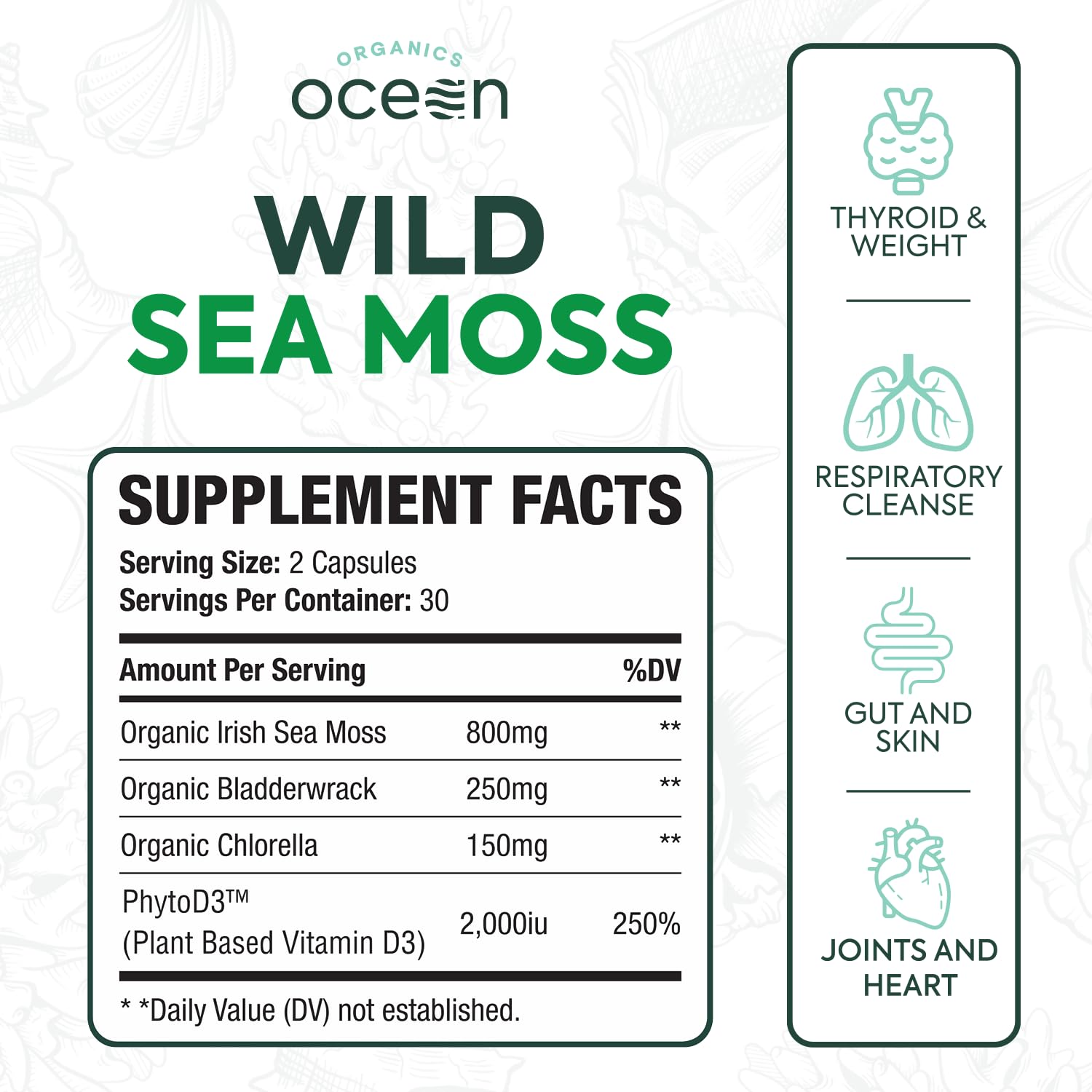 Organics Ocean Wild Sea Moss Capsules - 100% Organic Irish Sea Moss with Organic Chlorella, Bladderwrack and Vitamin D for Energy, Lung Health and Thyroid Support for Women and Men - 60 Capsules Organics Ocean buy supplements canada