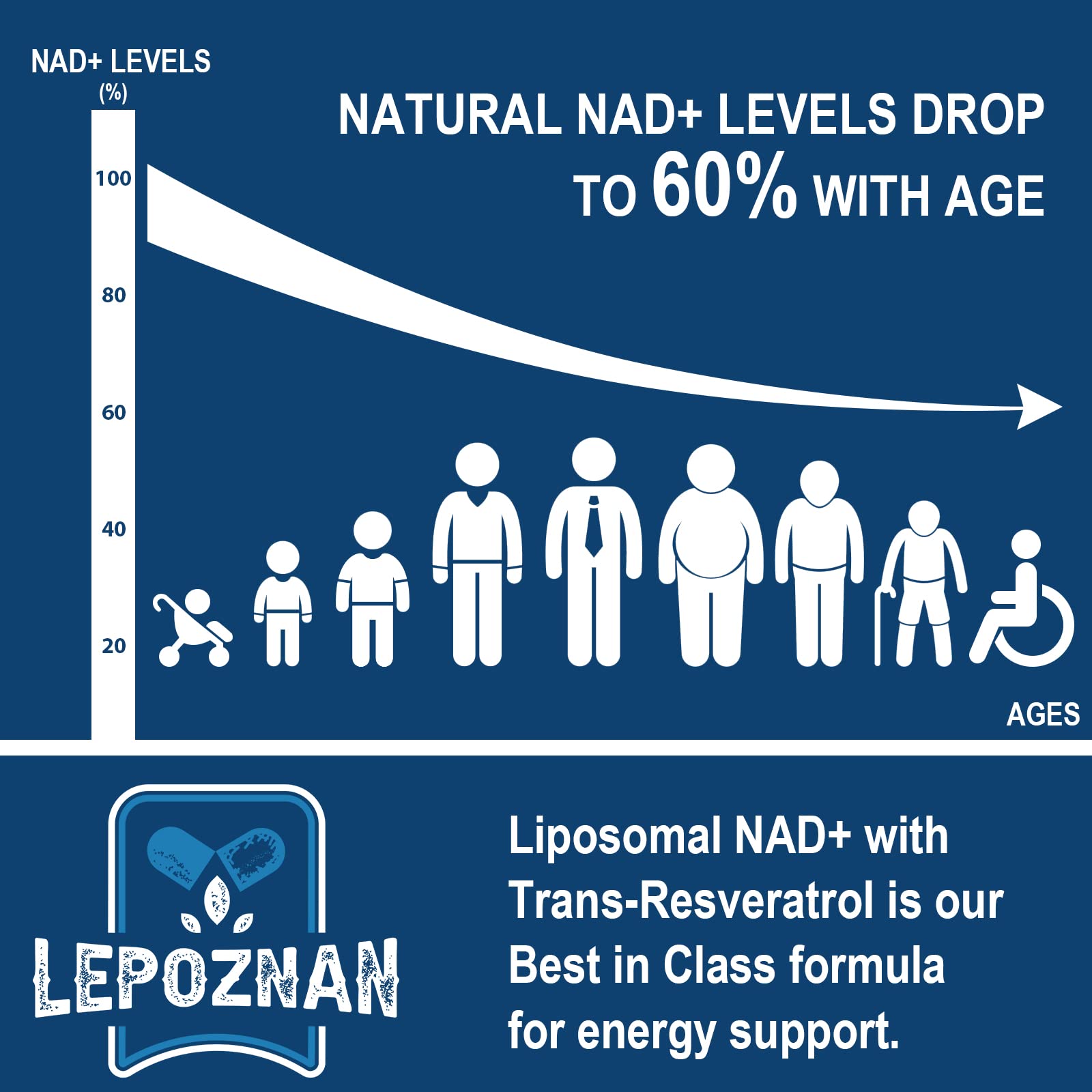 Lepoznan Liposomal NAD+ 500 mg + Trans-Resveratrol 300 mg, Superior Absorption True NAD Supplement Efficient for Cellular Energy Metabolism & DNA Repair, 60 Softgels Lepoznan buy supplements canada