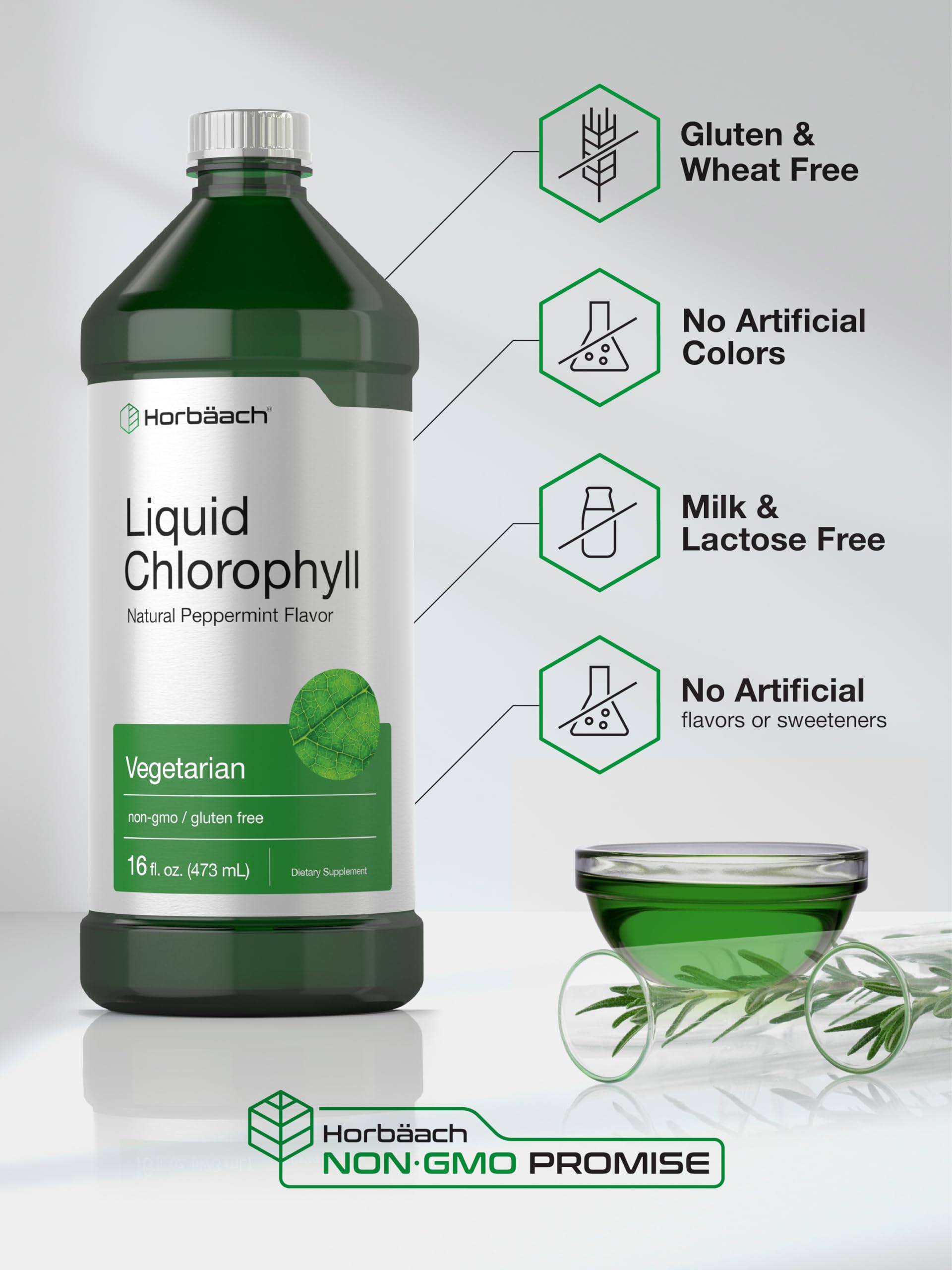 Chlorophyll Liquid Drops 100mg | 32 oz (2 x 16 oz Bottles) | Natural Peppermint Flavor Horbäach buy supplements canada