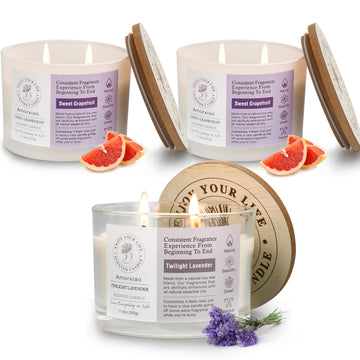 3 Pack Candles for Home Scented, 34.8 oz 240 Hour Long Lasting Candles Set, Grapefruit &Lavender ROSIANS buy supplements canada