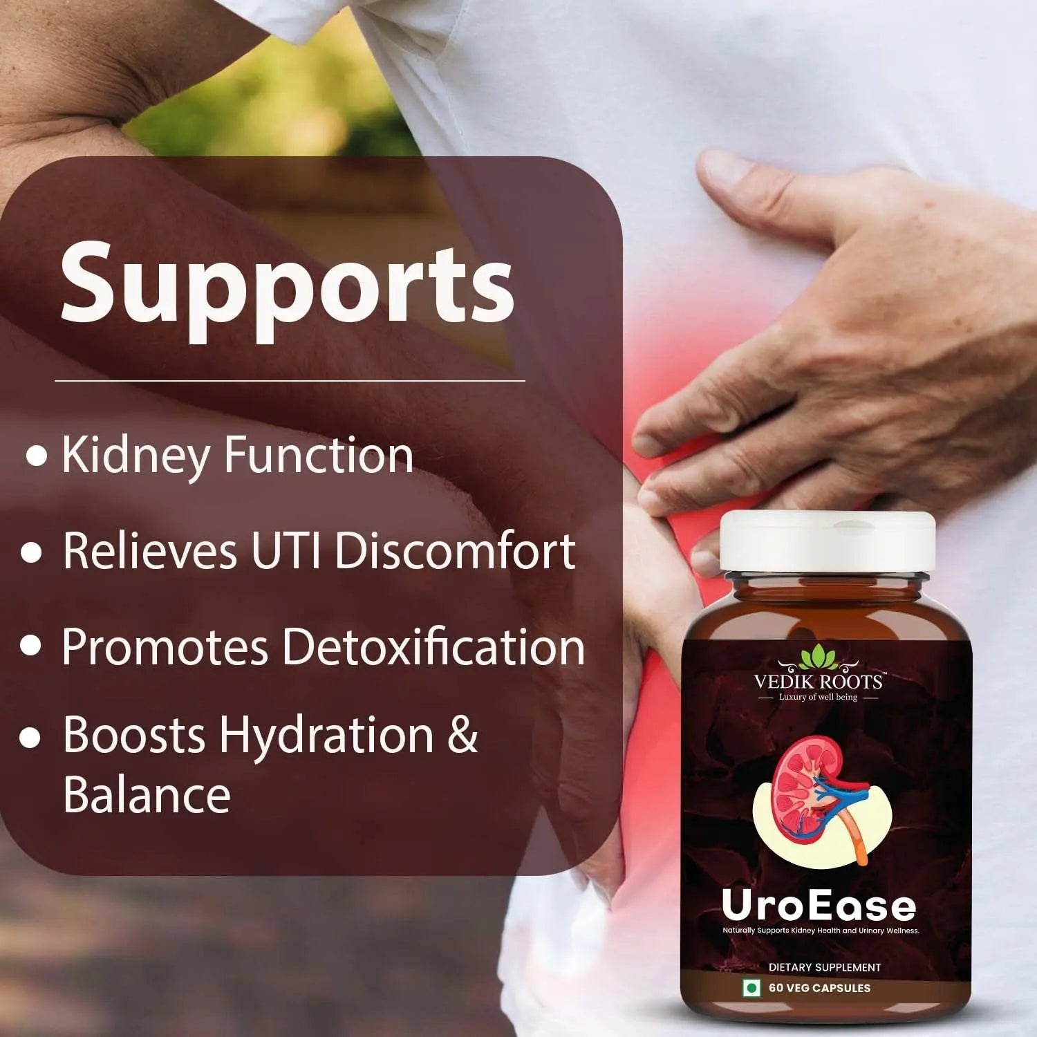 VEDIKROOTS UroEase | Ayurvedic Herbal Supplement for Kidney Health & Uric Acid Levels | Supports Urinary Tract Health | 60 Veg Capsules VEDIKROOTS buy supplements canada