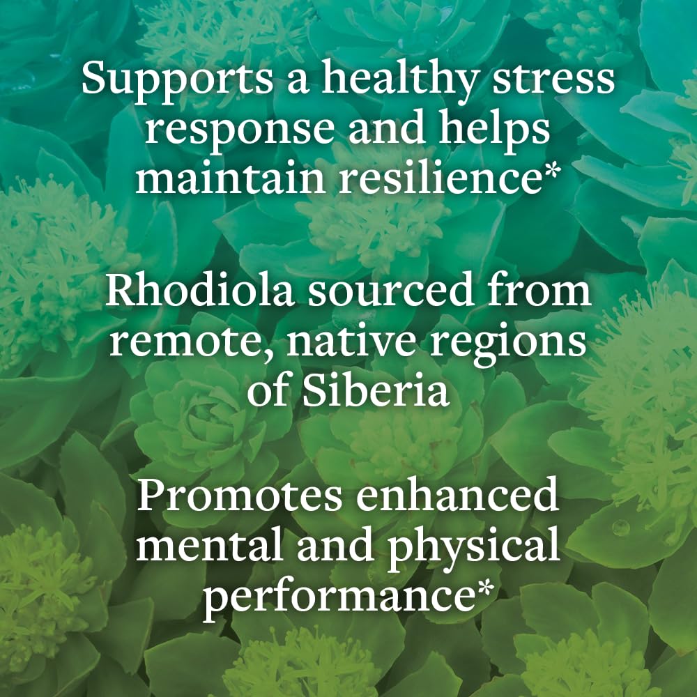 kokora Extra Strength Rhodiola Rosea – Stress Relief, Endurance & Promotes Mental & Physical Performance* - with Siberian Rhodiola, Rosavins, Organic Holy Basil - Vegan, Non-GMO - 60 Capsules kokora buy supplements canada