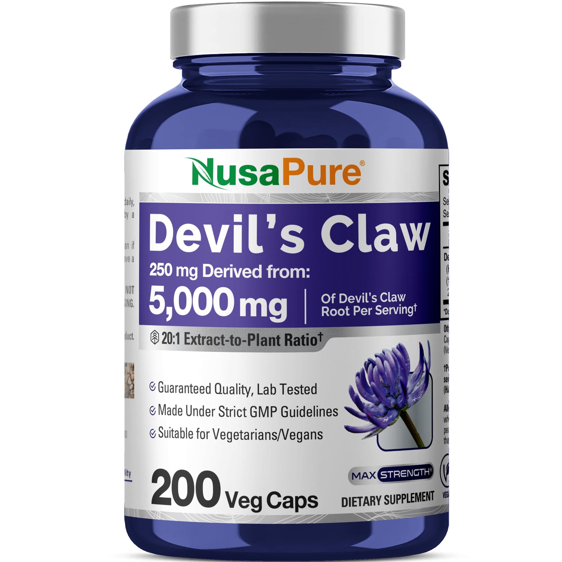 NusaPure Devil's Claw 20:1 Extract, 250 mg Equivalent to 5000mg, 200 Veggie Capsules, Concentrated Root Extract, Devils Claw Herbal Supplement, Non-GMO, Vegan Supplement NusaPure buy supplements canada