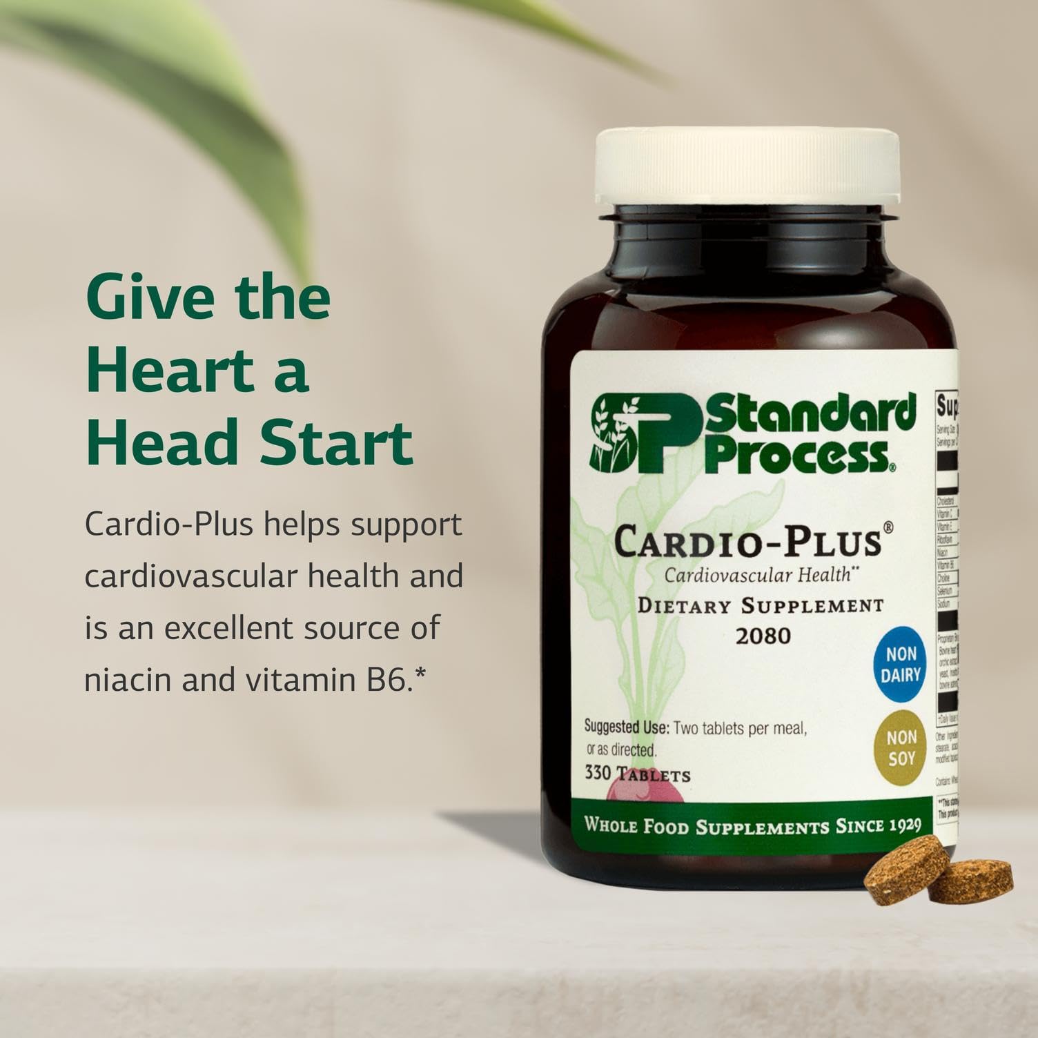 Standard Process Inc. Cardio-Plus - Antioxidant Support - Heart Health, Circulation & Blood Flow Supplement with Vitamin B6, Niacin & Riboflavin - Energy Metabolism Supplement - 330 Tablets Standard Process Inc. buy supplements canada