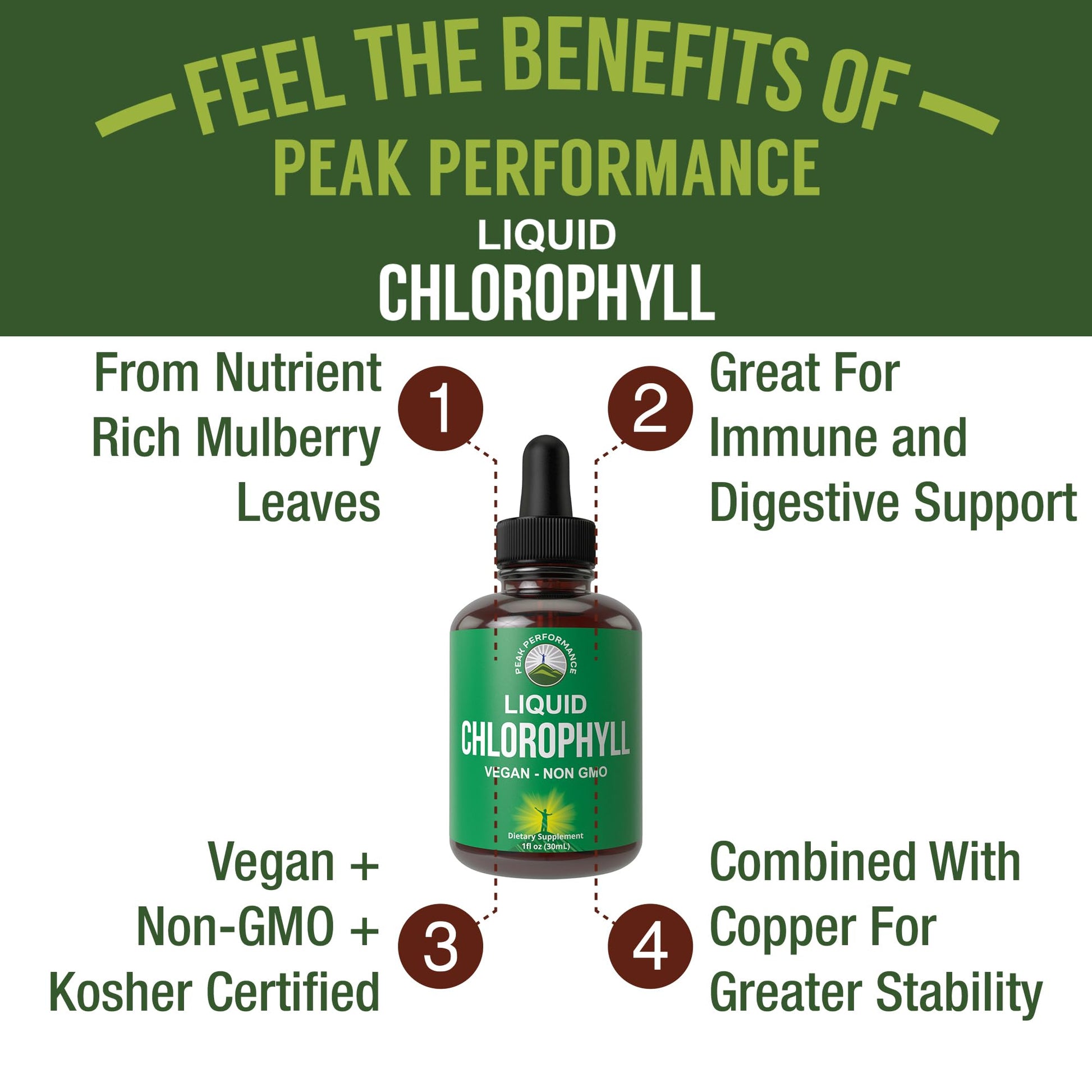 Chlorophyll Liquid Drops - Ultra High Purity, Alcohol Free, Non-GMO, Gluten Free Liquid Chlorophyll Drops Supplement. Take with Water. Internal Deodorant + Skin Care, Immune, and Digestive Support Peak Performance buy supplements canada