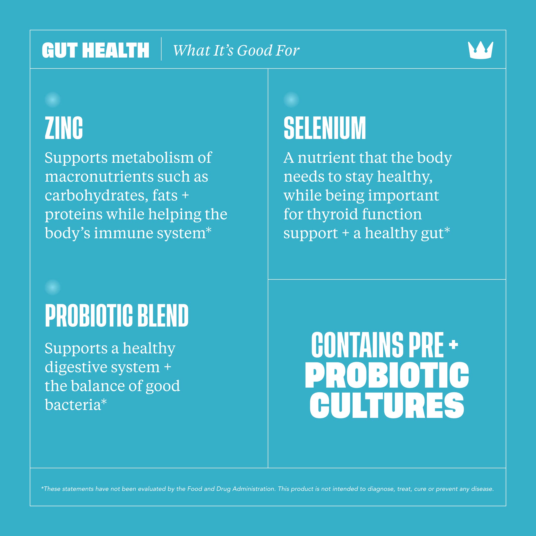 Health By Habit Gut Health Supplement (60 Capsules) - Contains 1.5 Billion probiotic Health By Habit buy supplements canada