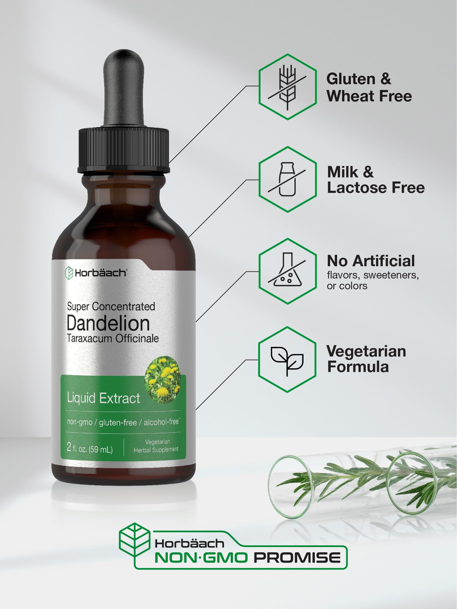 Dandelion Root Extract | 2 fl oz | Super Concentrated | Alcohol Free Liquid Tincture Horbäach buy supplements canada
