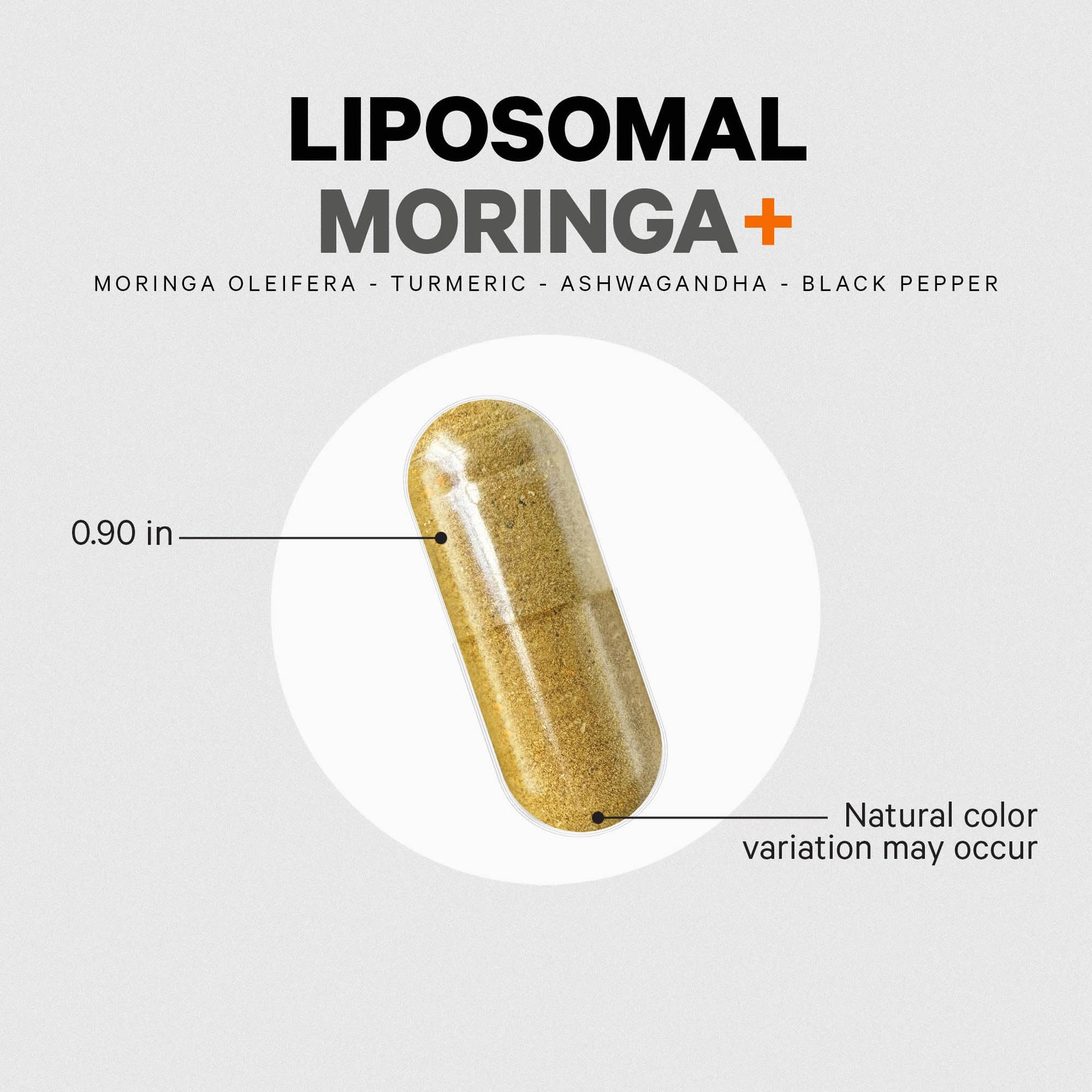 Codeage Liposomal Moringa+ Supplement, 400mg Moringa 50:1 Extract - Turmeric, Ashwagandha, Black Pepper, 3-Month Supply, Vegan Moringa Powder - 180 Capsules Codeage buy supplements canada
